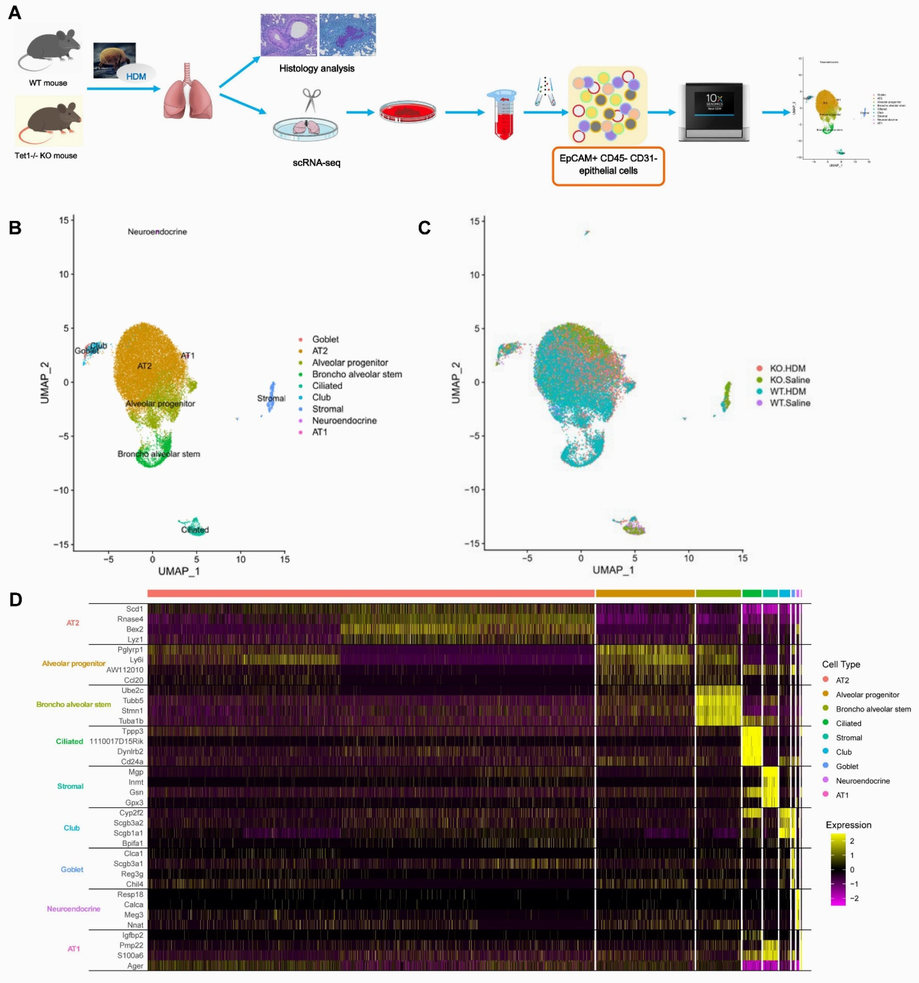 Genes 13 00880 g001 Genes 13 00880 g001