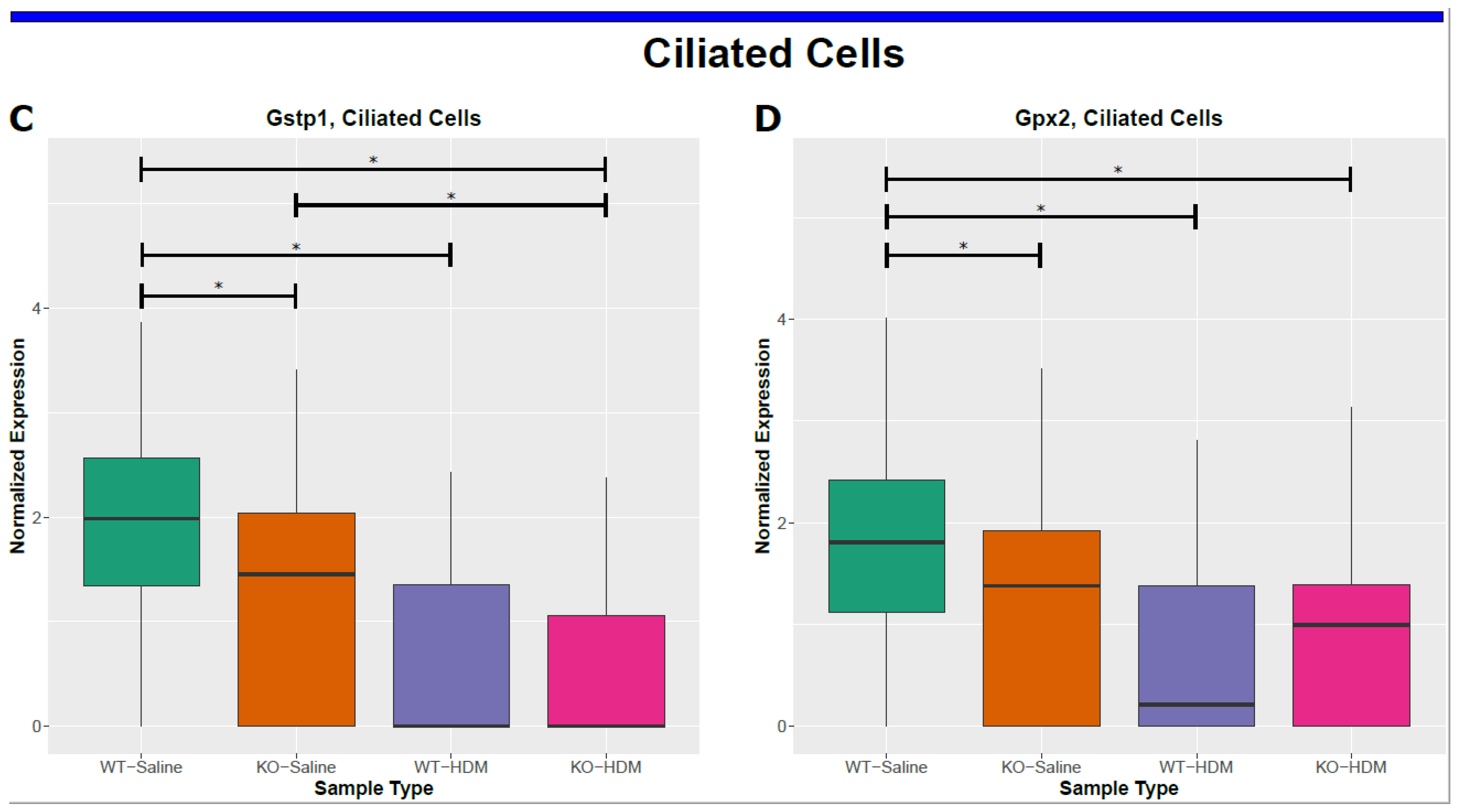 Genes 13 00880 g004b Genes 13 00880 g004b