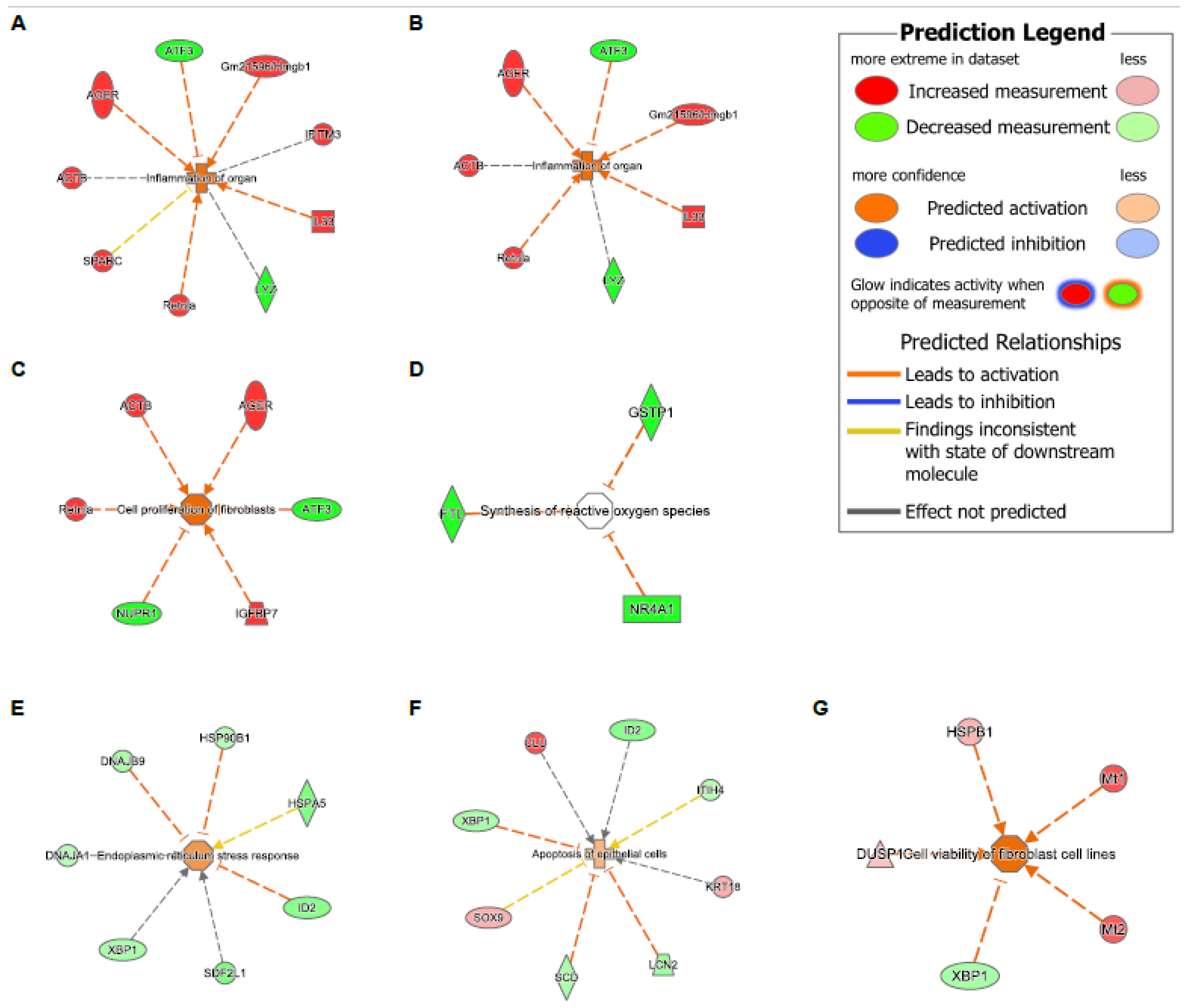 Genes 13 00880 g005 Genes 13 00880 g005