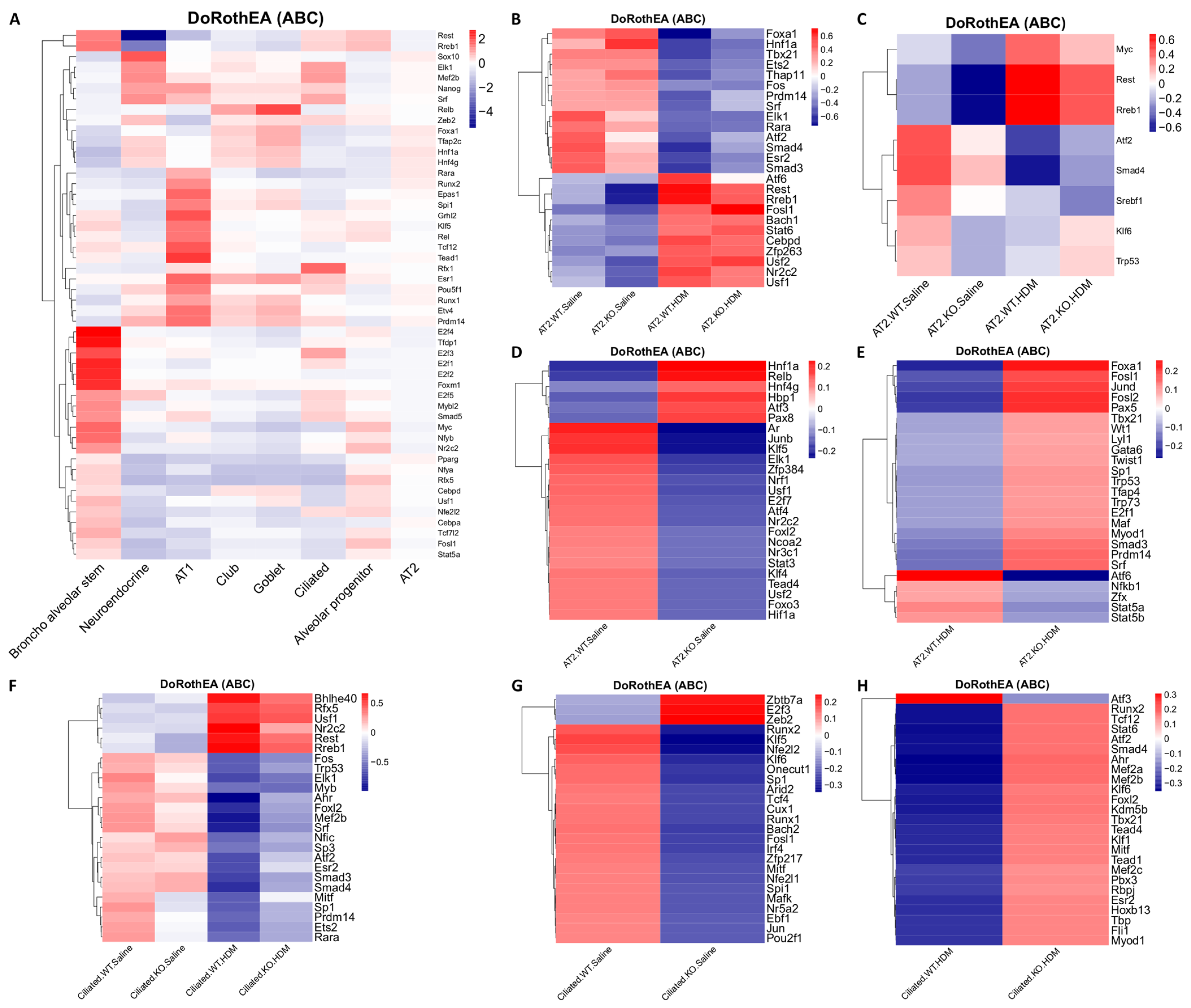 Genes 13 00880 g006 Genes 13 00880 g006