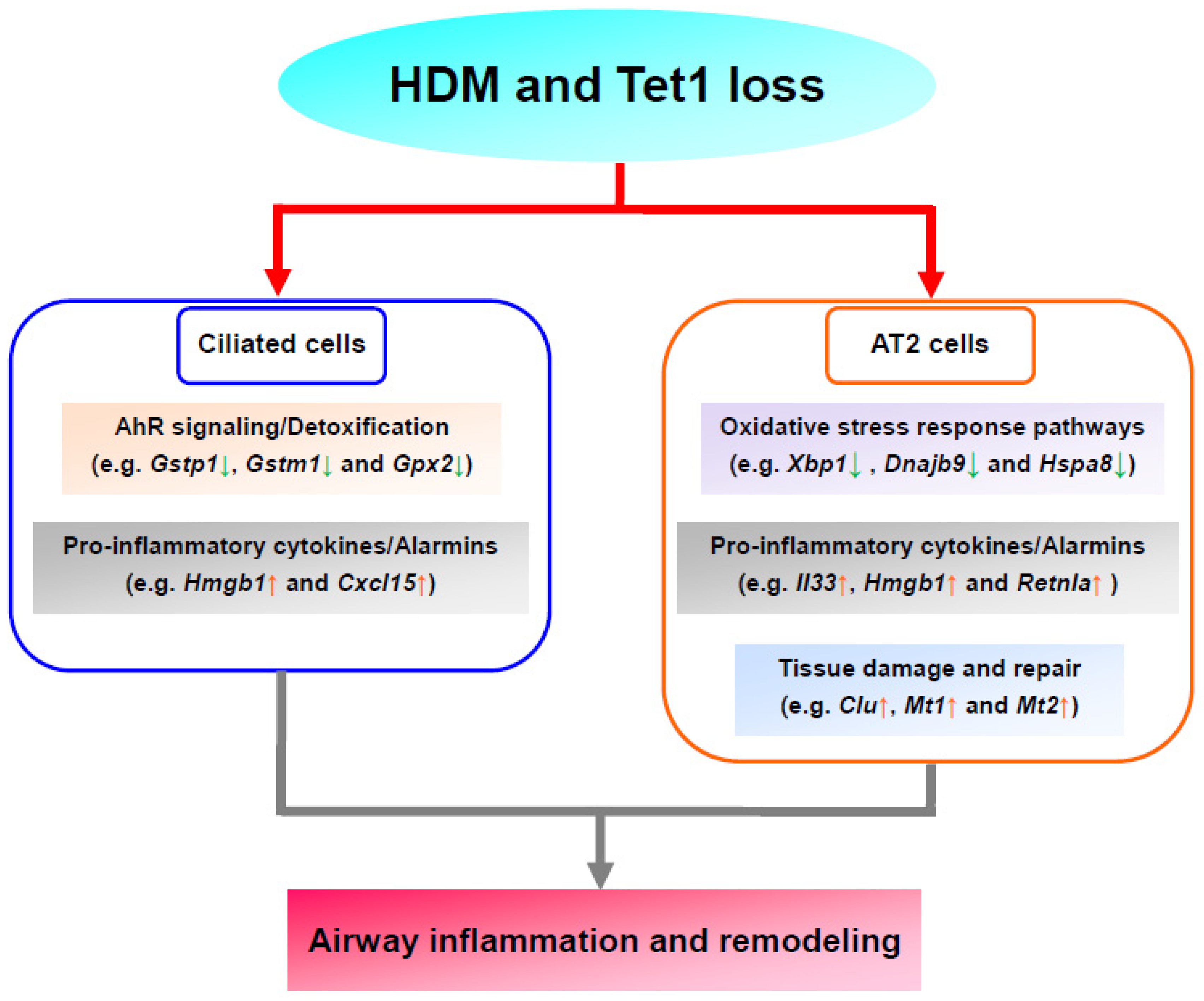 Genes 13 00880 g007 Genes 13 00880 g007