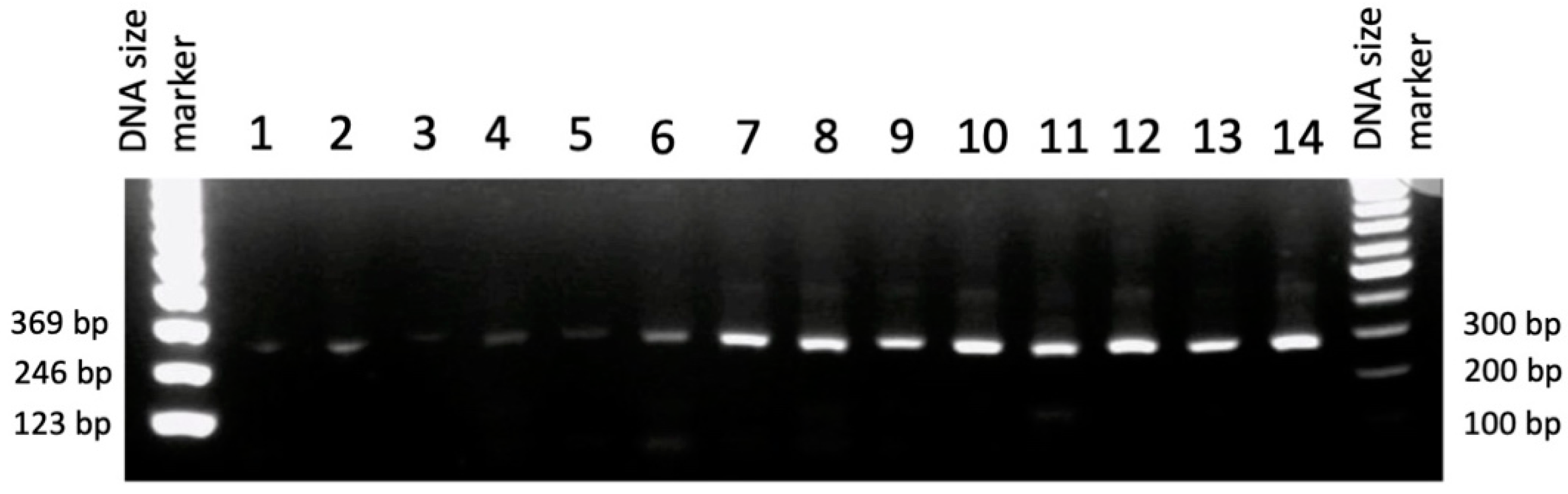 Genes 13 00881 g007 550