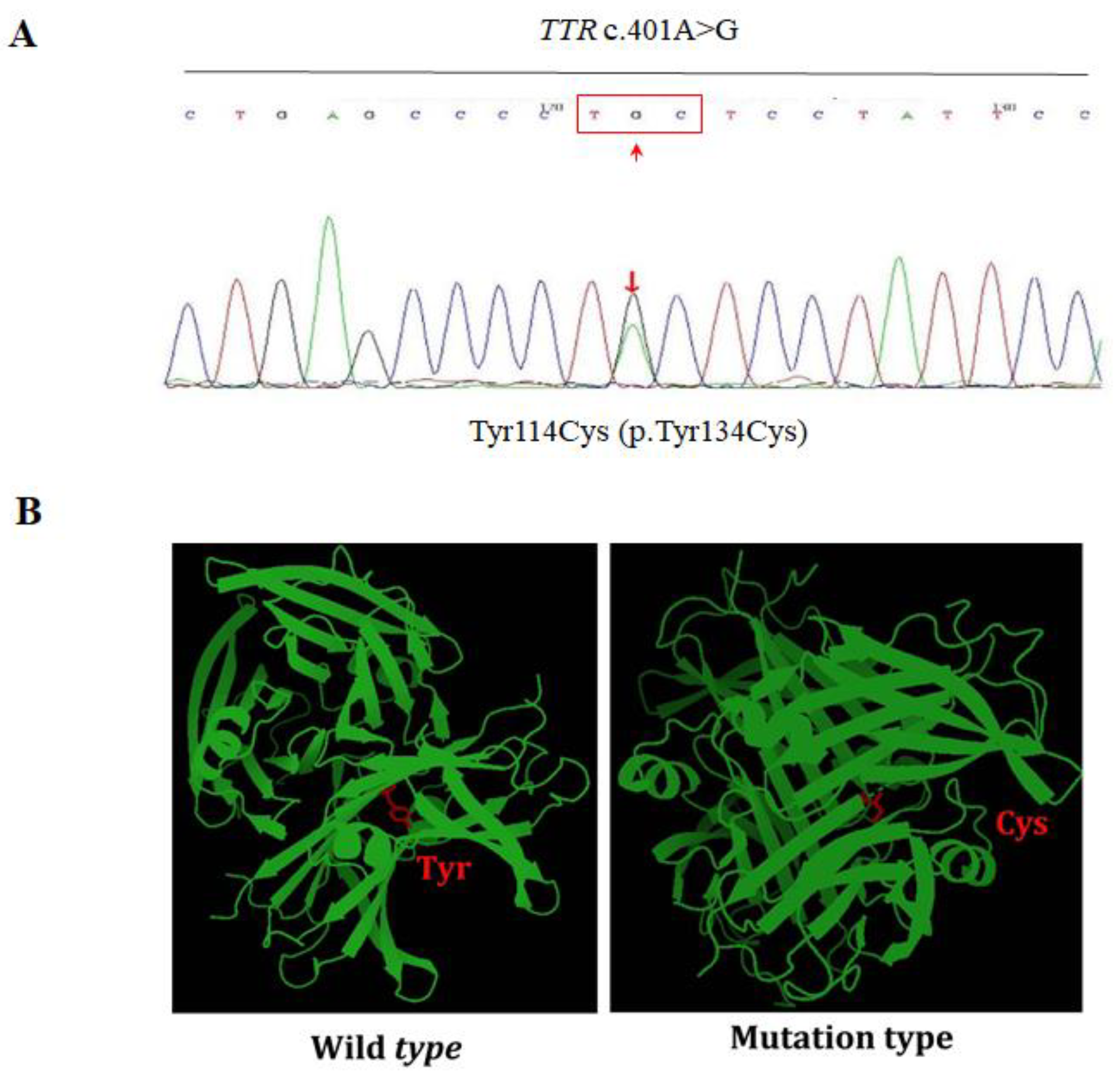 Genes 13 00886 g008