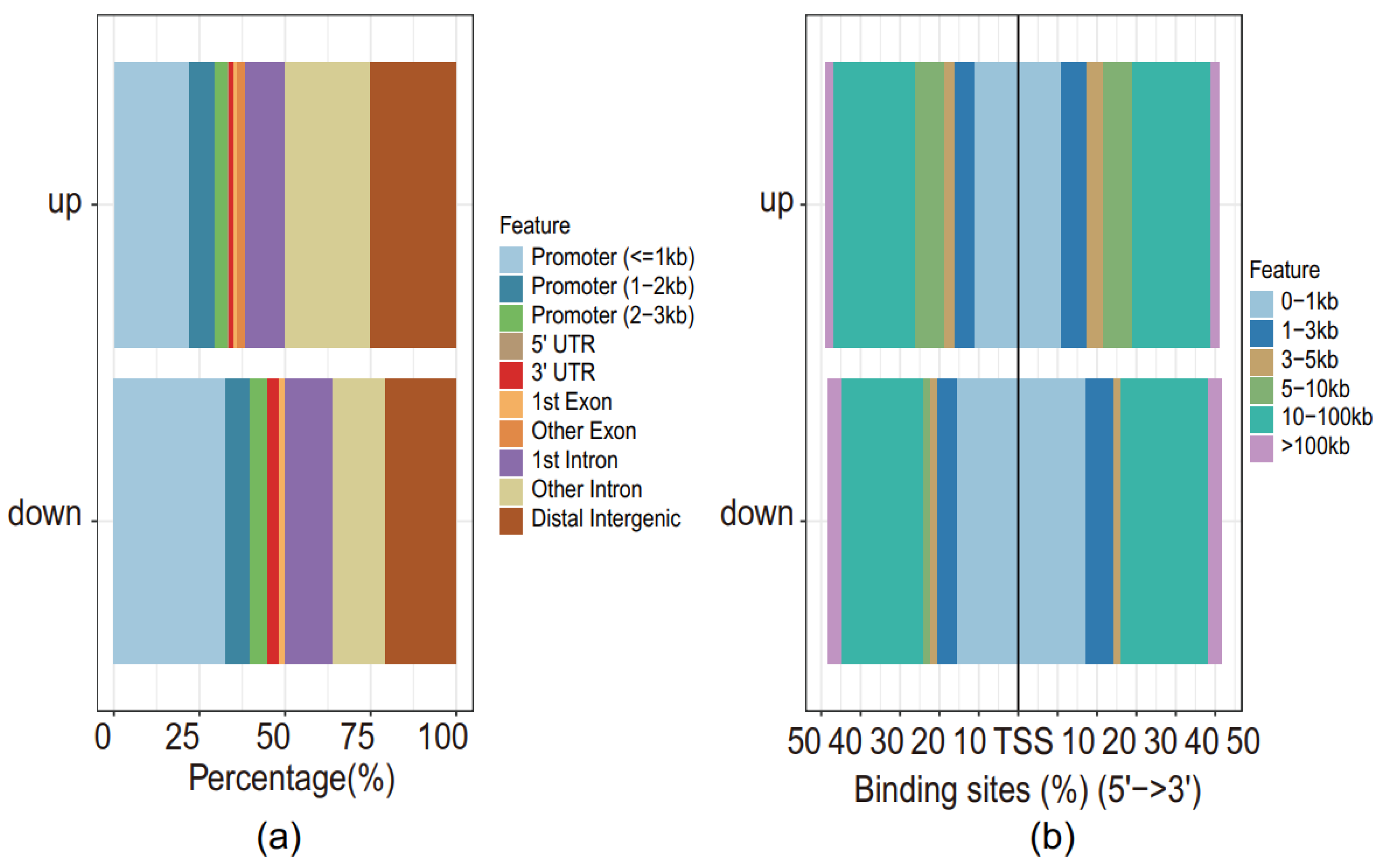 Genes 13 00888 g002 Genes 13 00888 g002