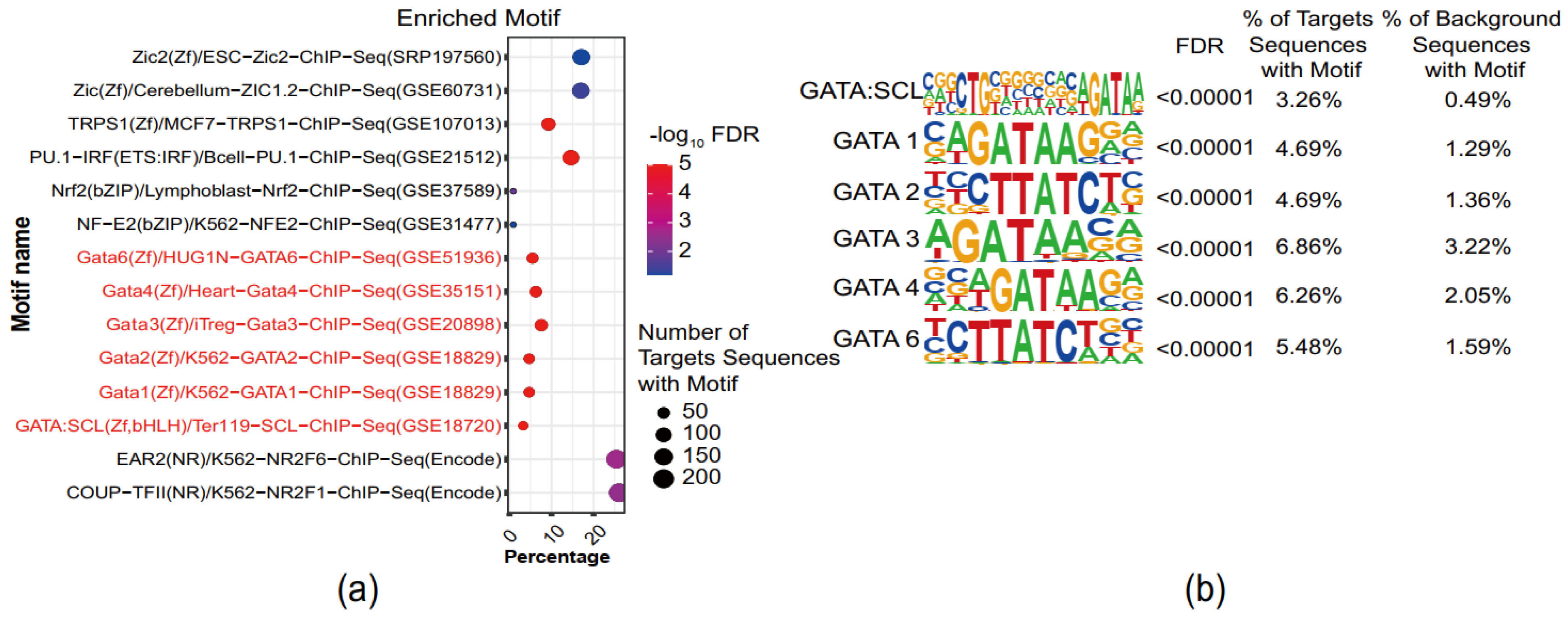 Genes 13 00888 g003 Genes 13 00888 g003