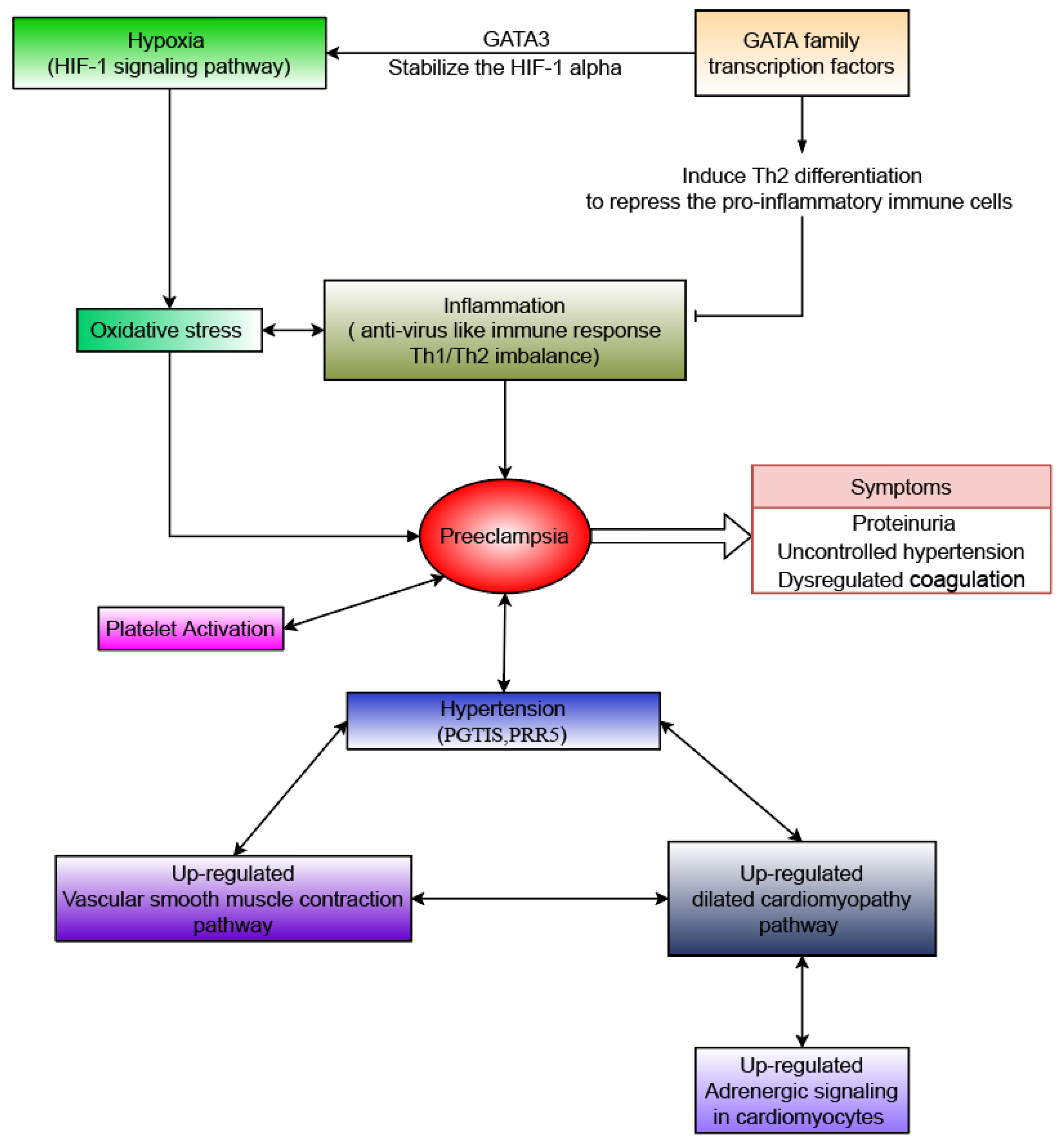 Genes 13 00888 g005 Genes 13 00888 g005
