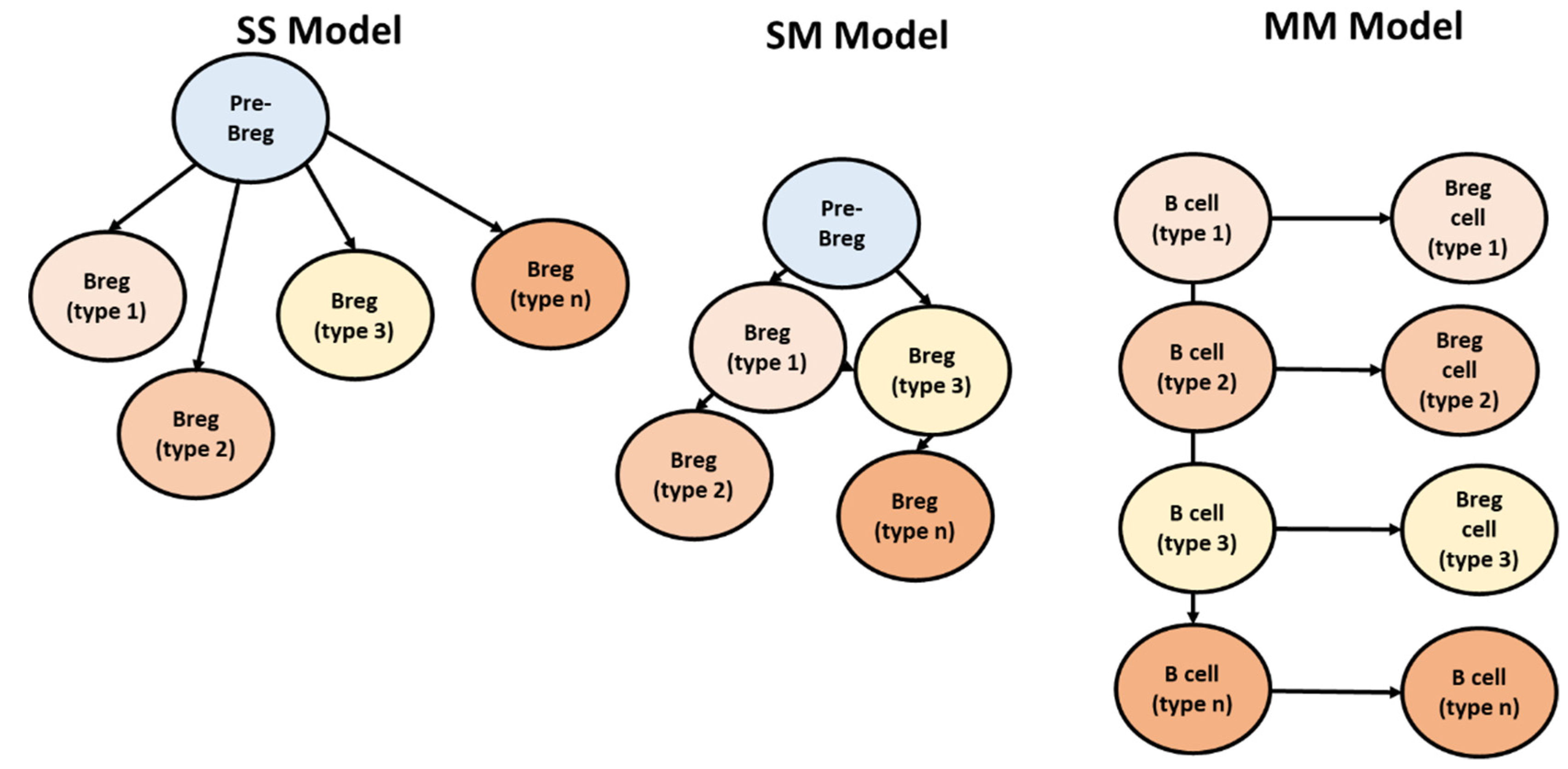 SMmodel – hydrology