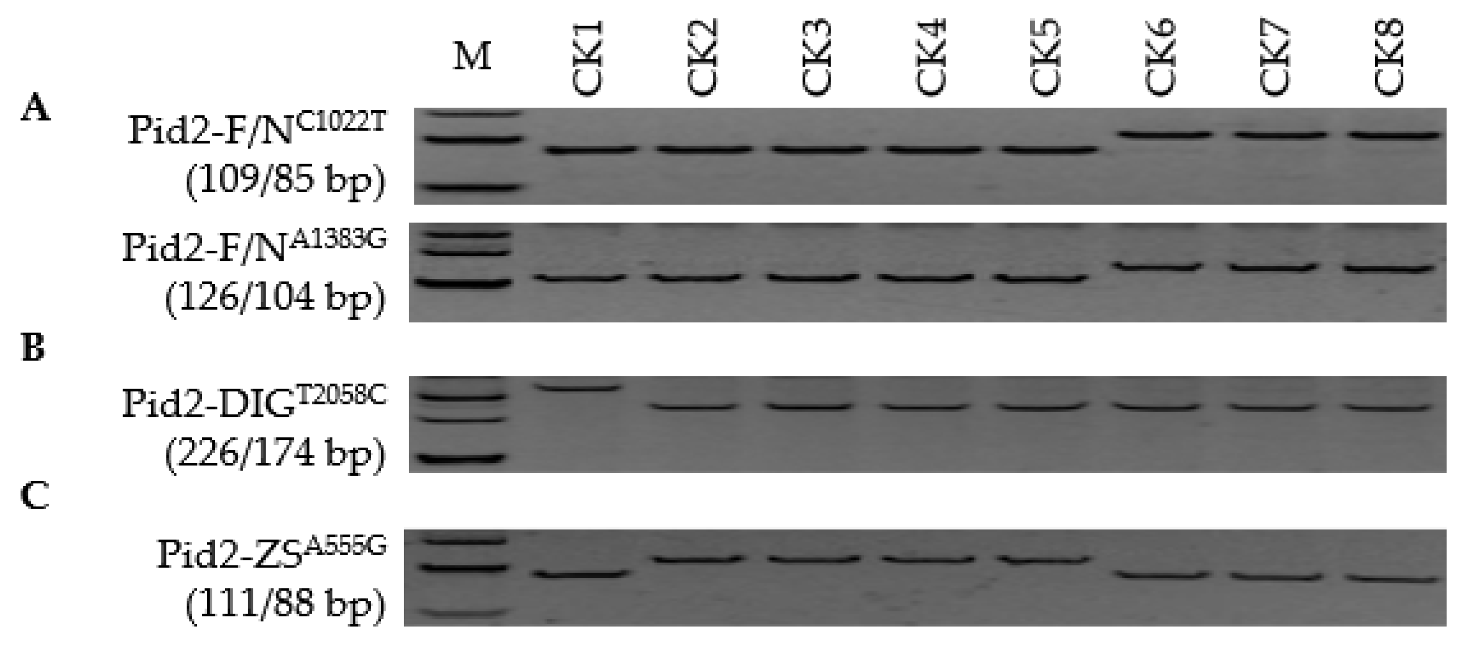 Genes 13 00891 g001 Genes 13 00891 g001