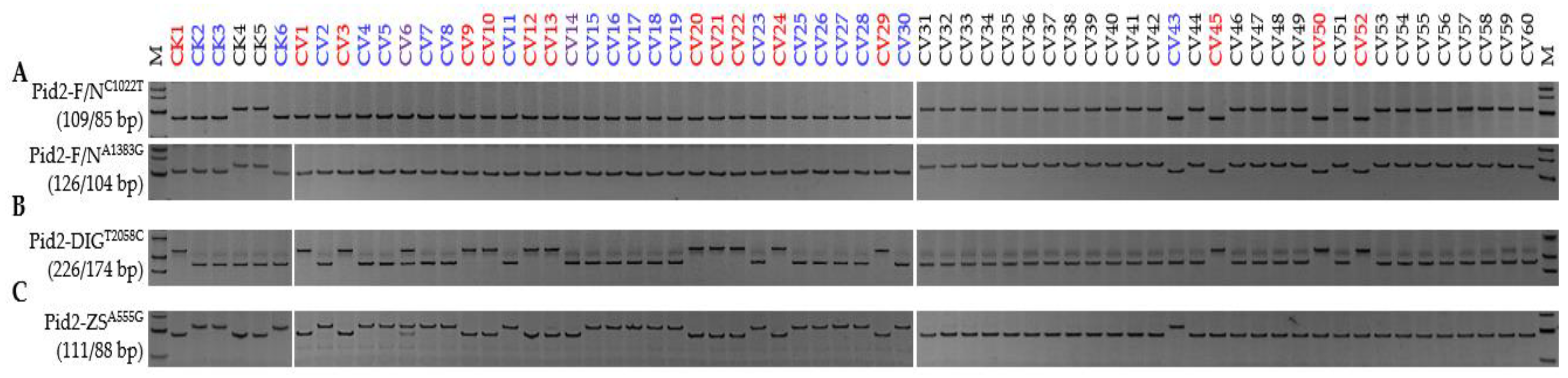 Genes 13 00891 g002 Genes 13 00891 g002