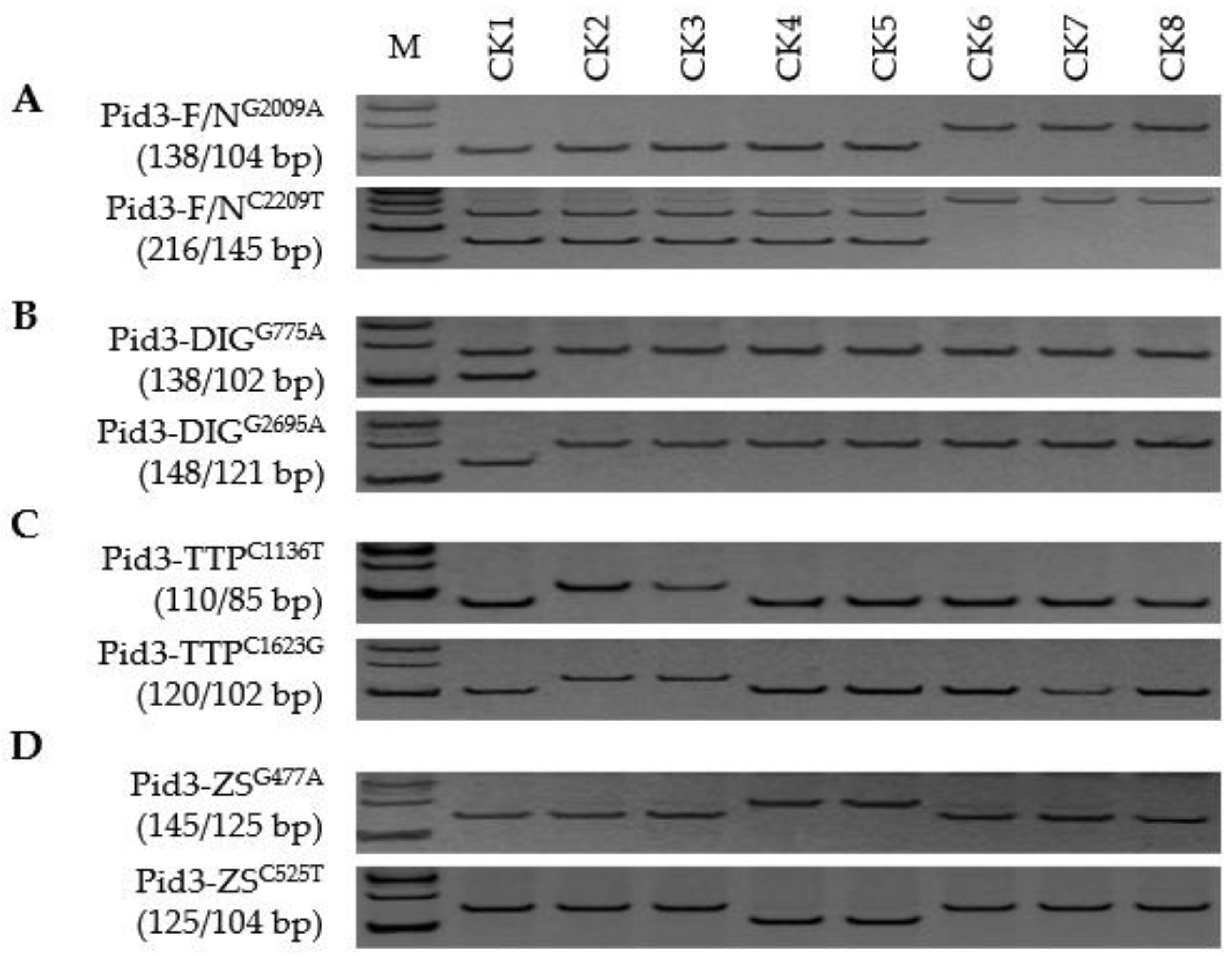 Genes 13 00891 g003 Genes 13 00891 g003