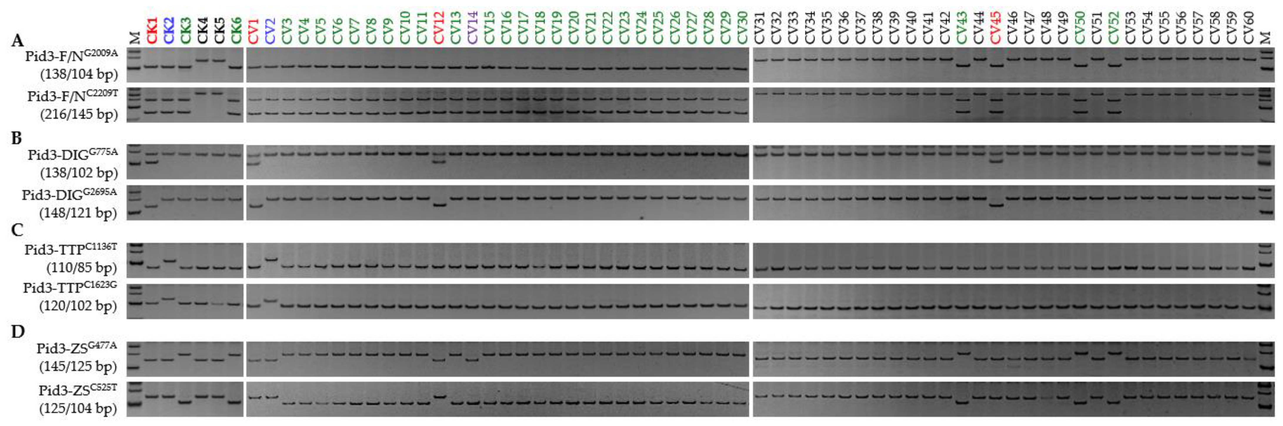 Genes 13 00891 g004 Genes 13 00891 g004