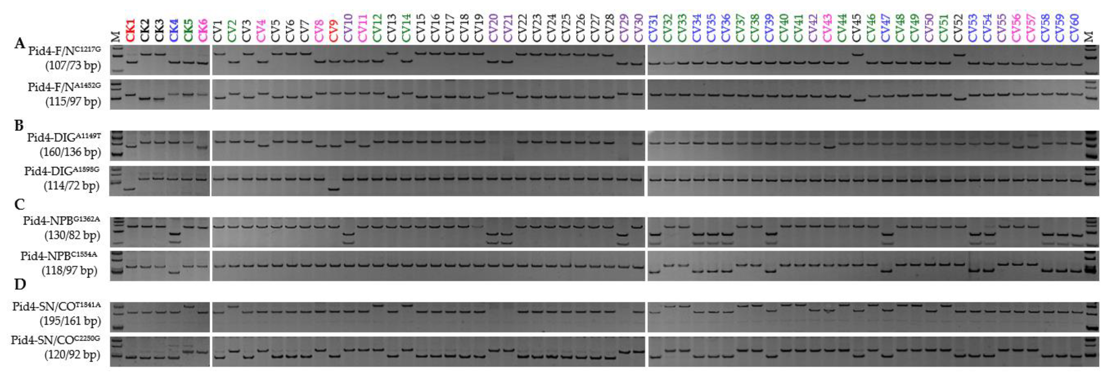 Genes 13 00891 g006 Genes 13 00891 g006