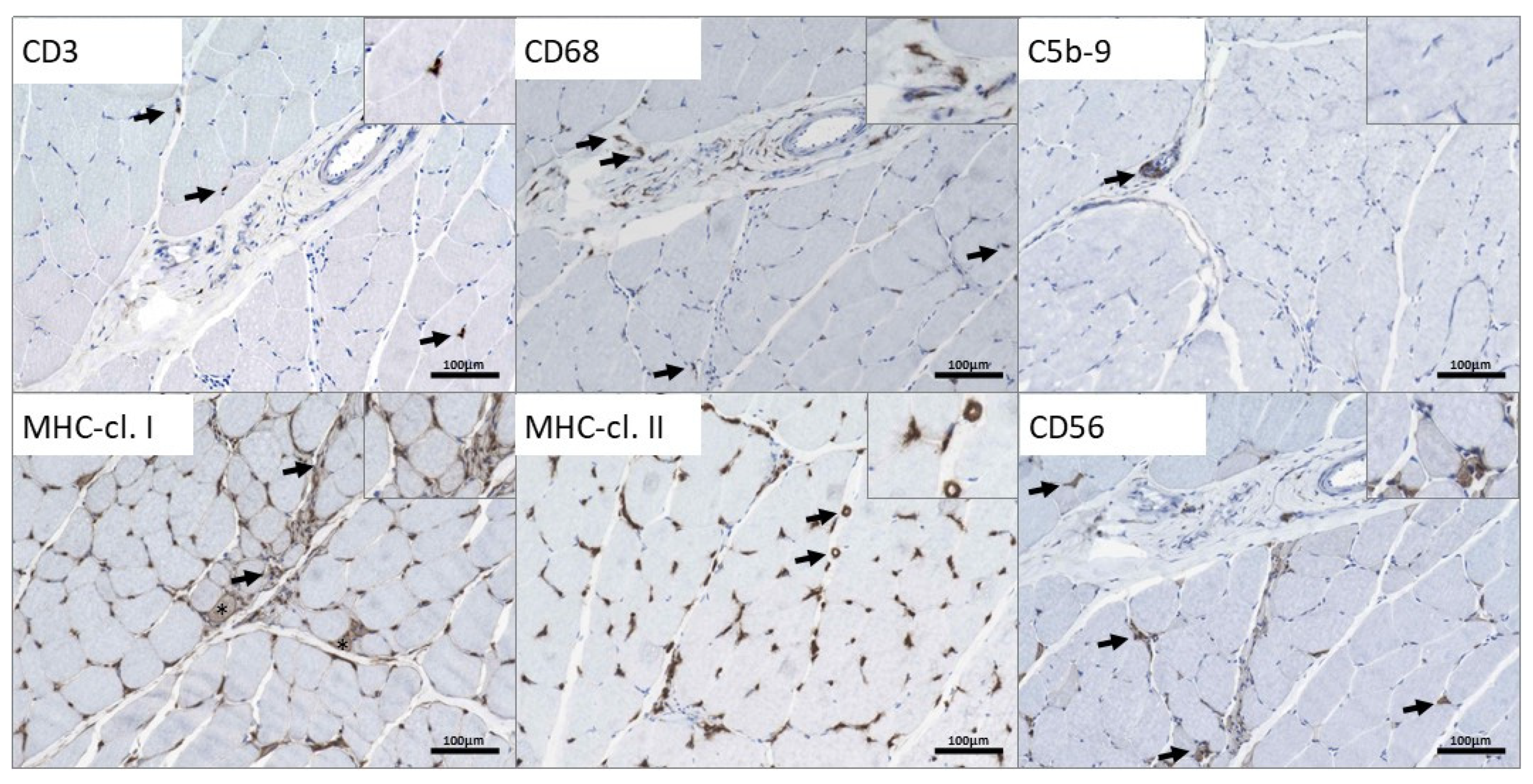 Genes 13 00893 g004 Genes 13 00893 g004