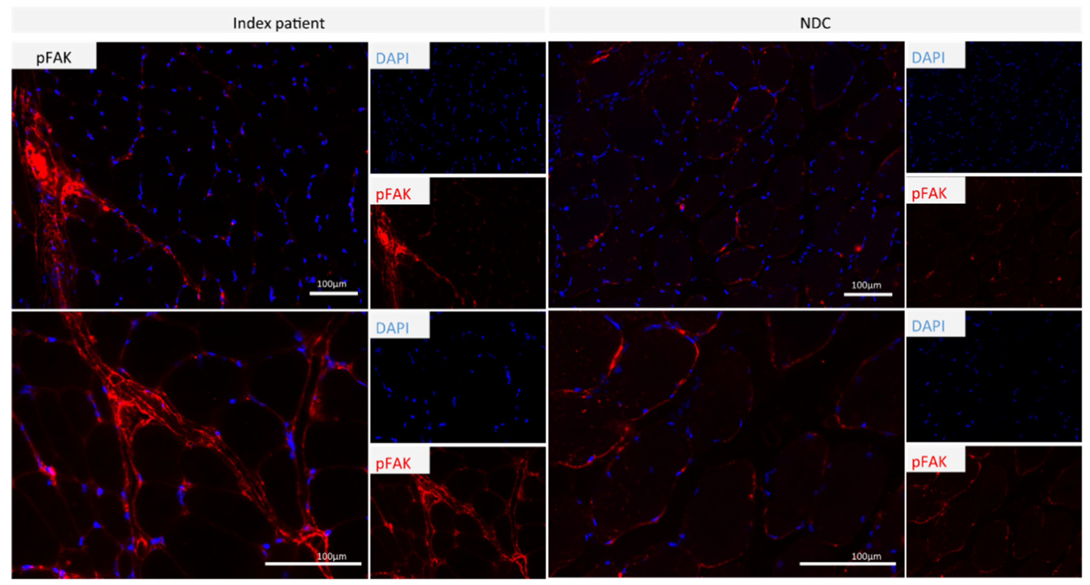 Genes 13 00893 g005 Genes 13 00893 g005