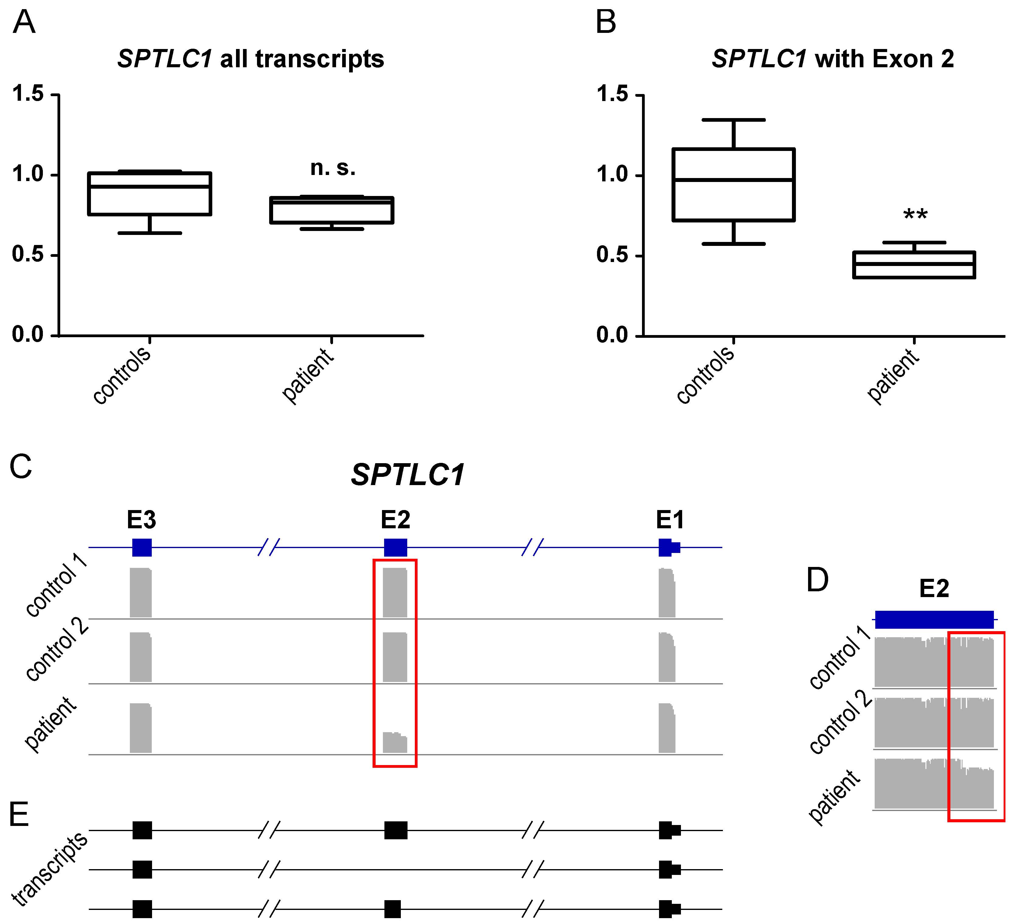 Genes 13 00893 g006 Genes 13 00893 g006