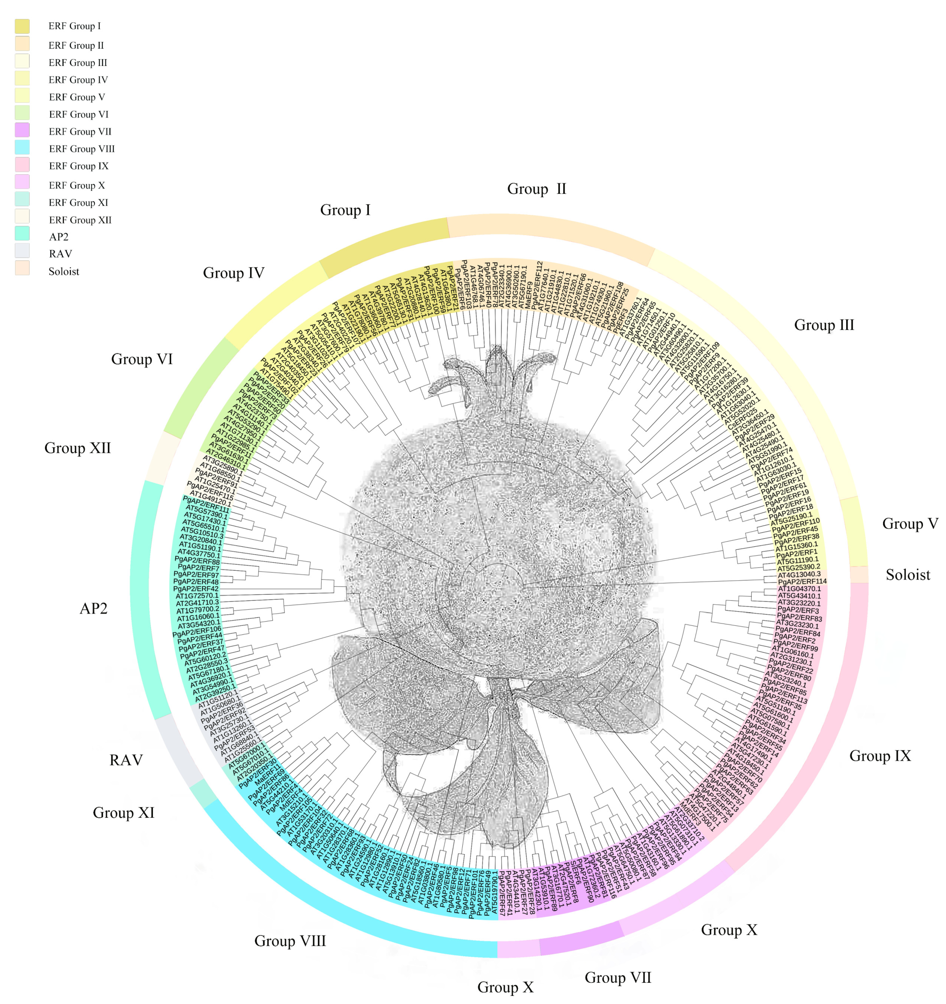 Genes 13 00895 g001 550
