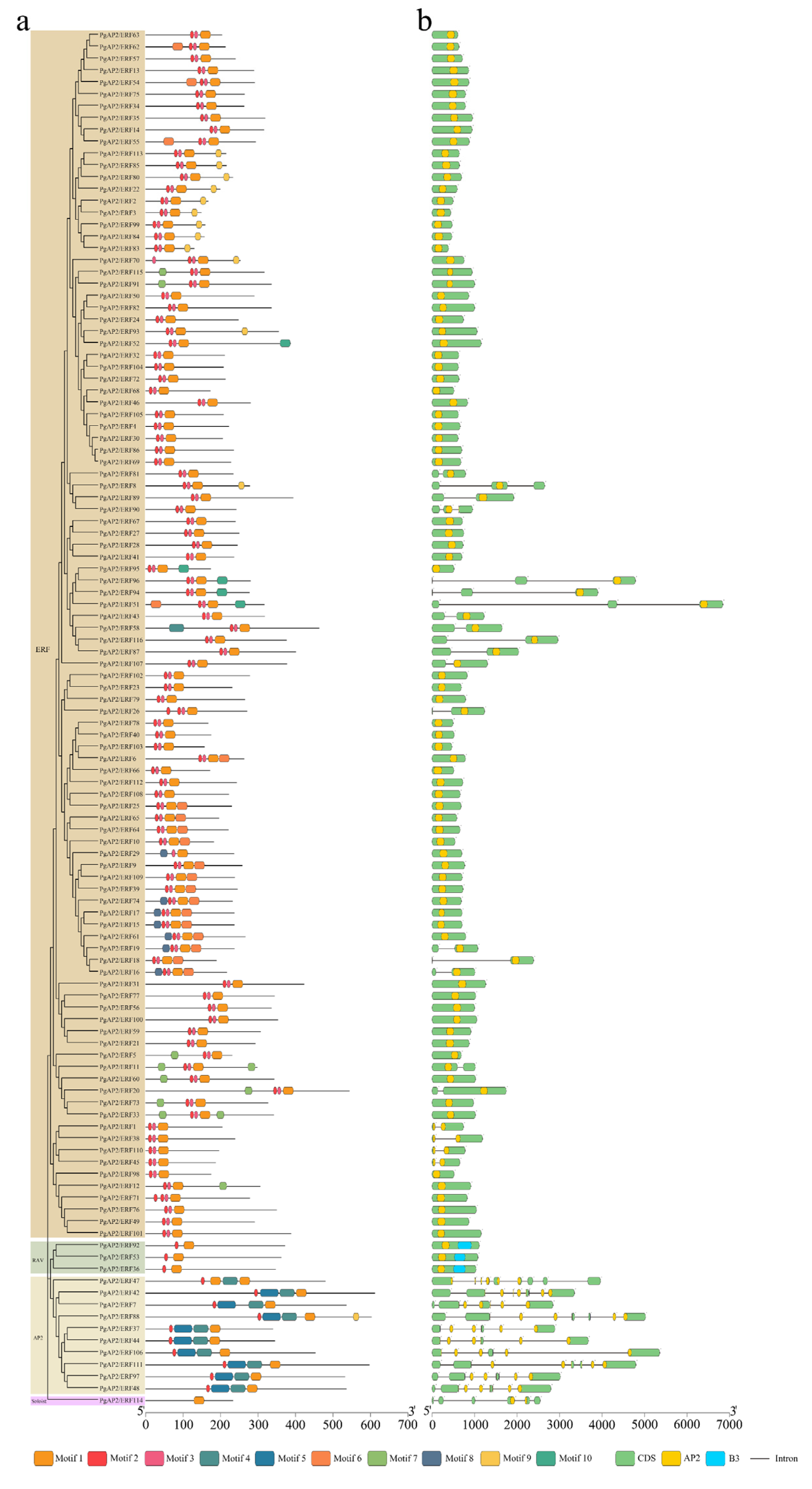 Genes 13 00895 g002 550