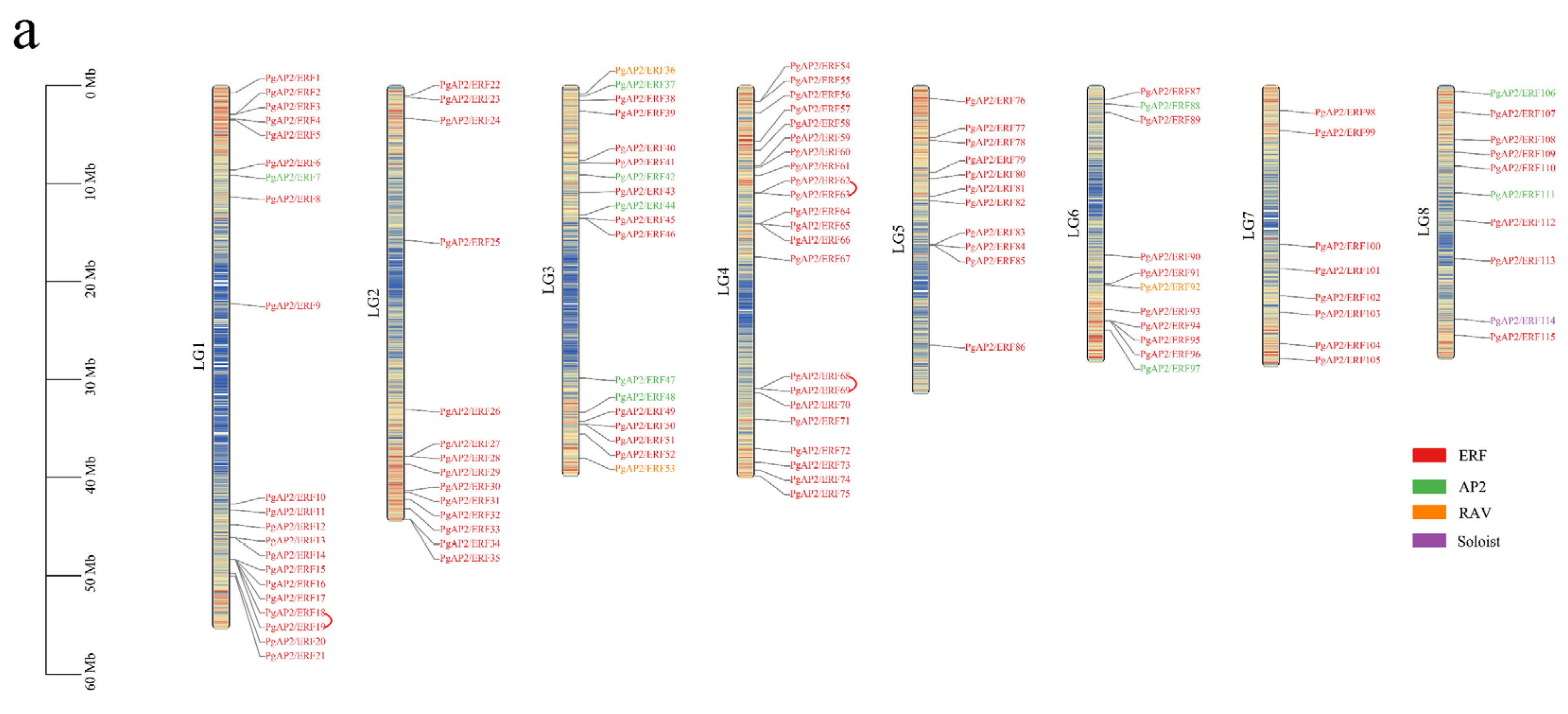 Genes 13 00895 g003a 550