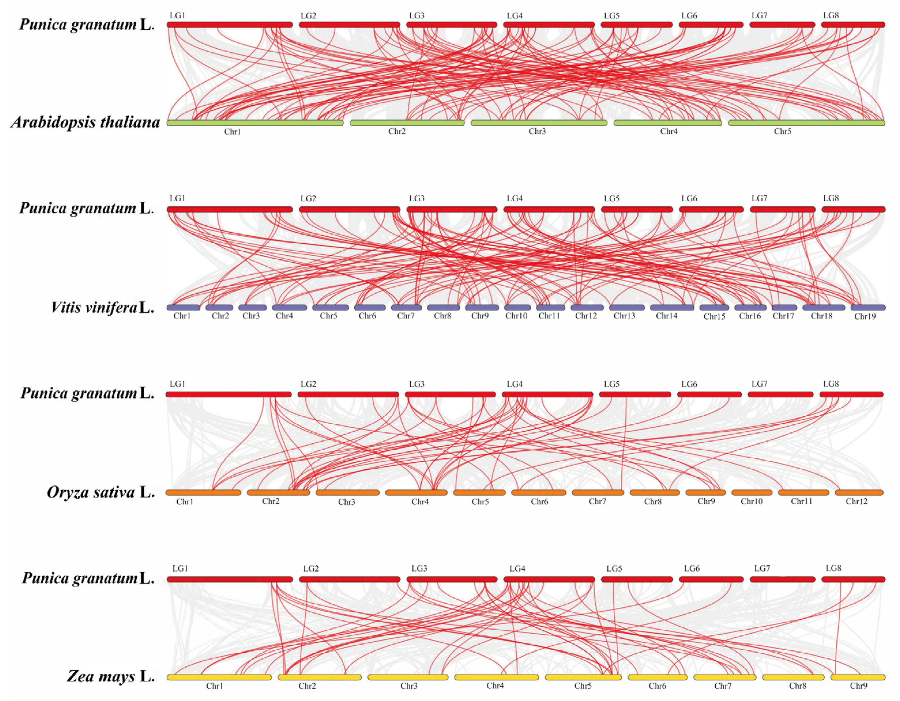 Genes 13 00895 g004 550