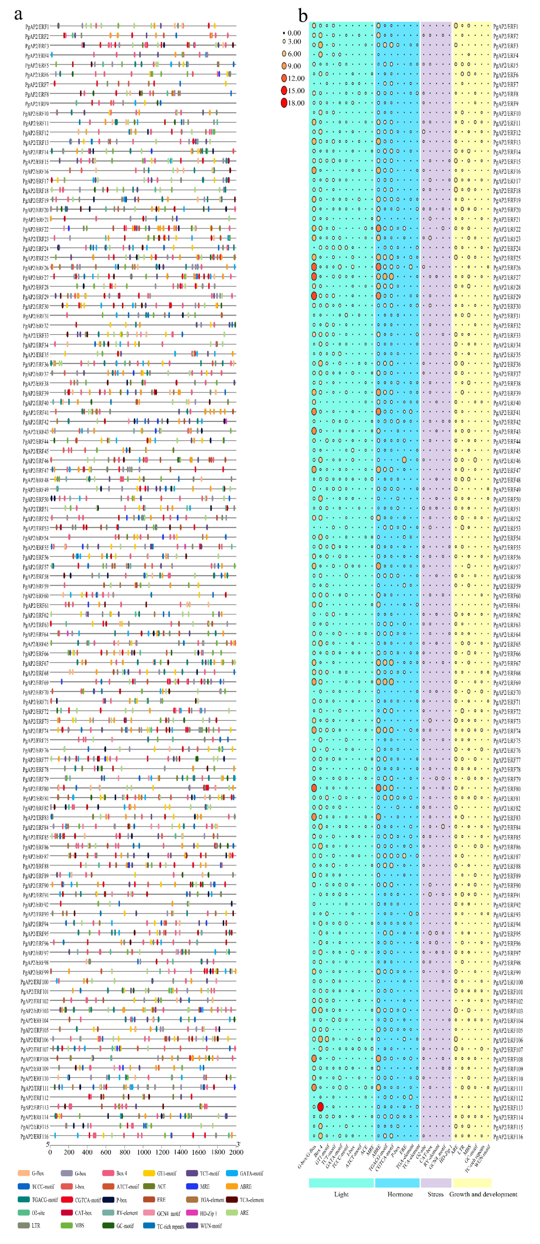 Genes 13 00895 g005 550