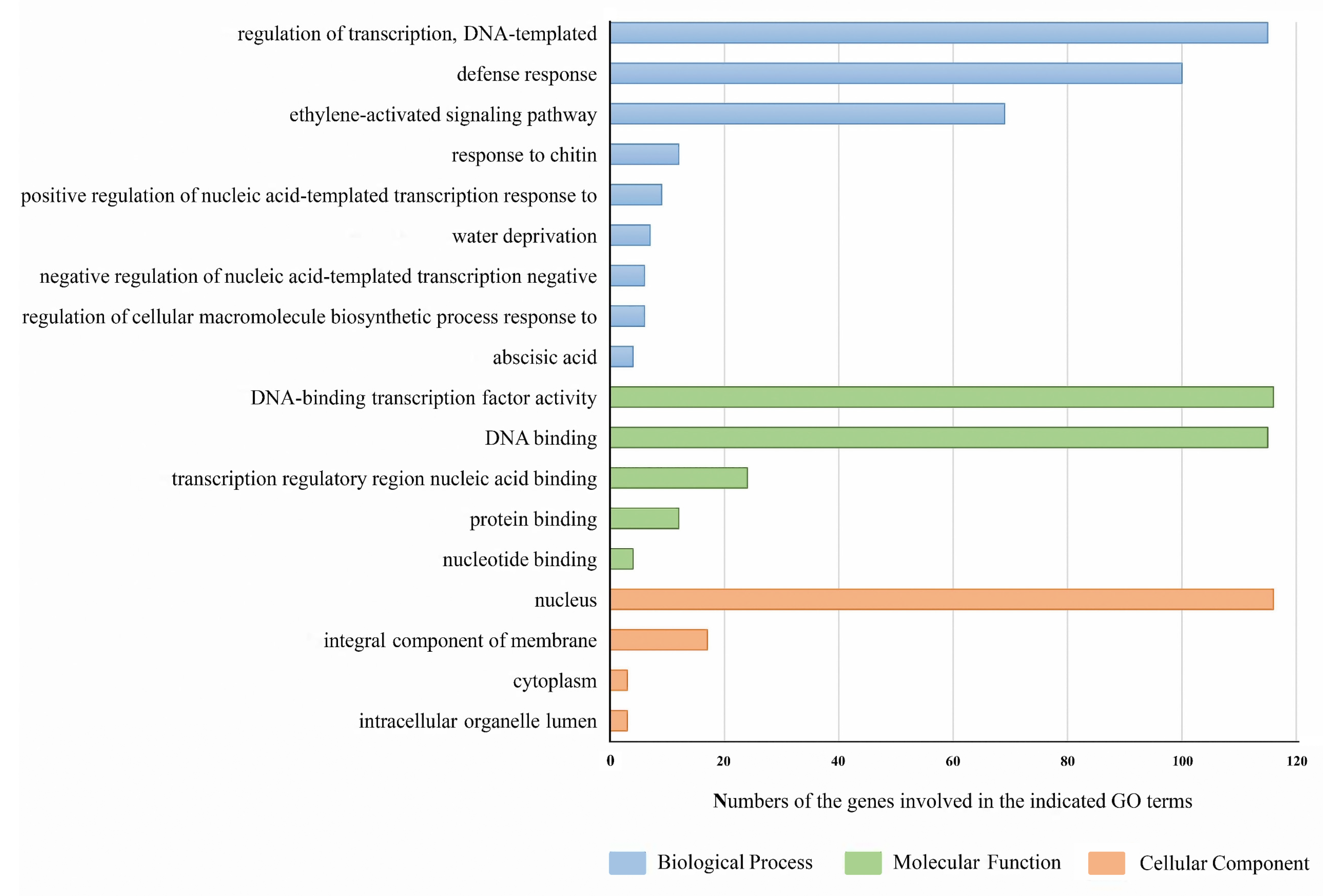 Genes 13 00895 g006 550