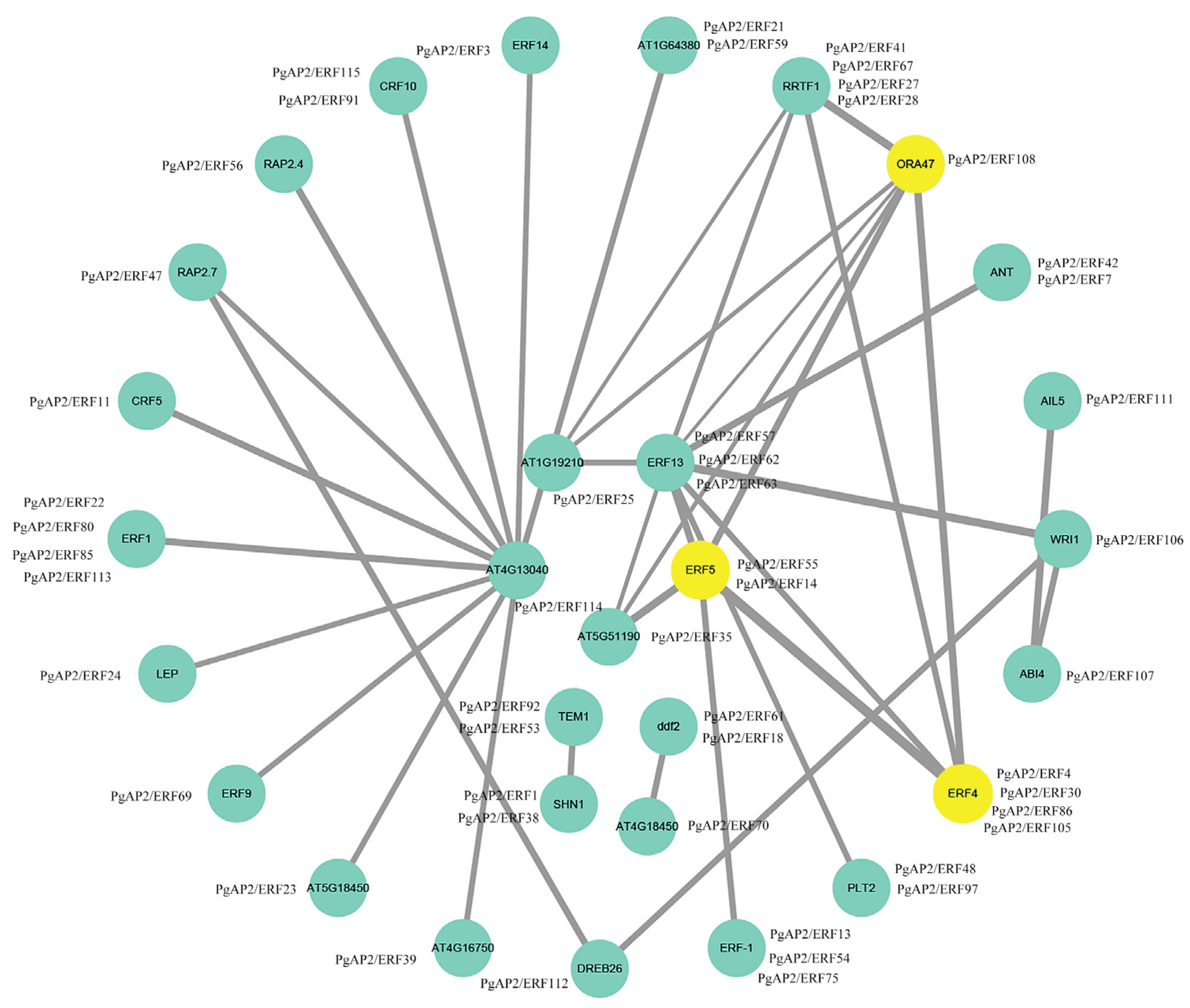 Genes 13 00895 g007 550
