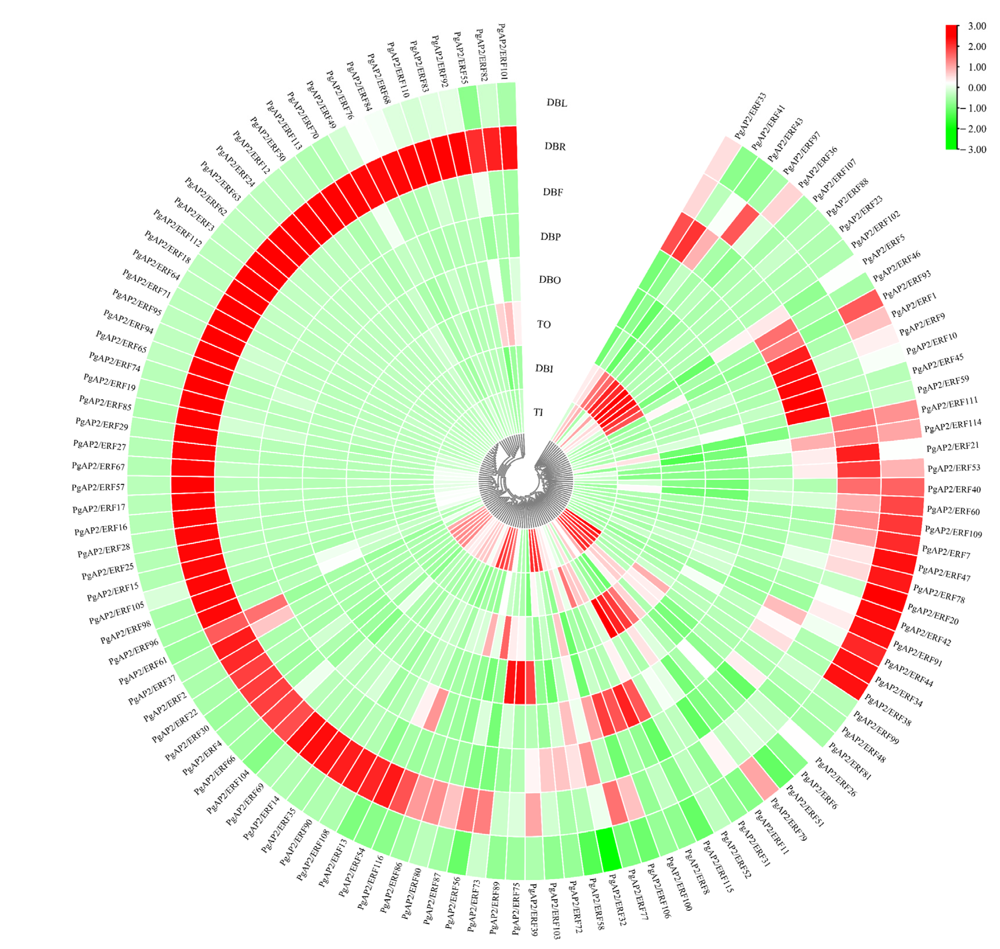 Genes 13 00895 g008 550