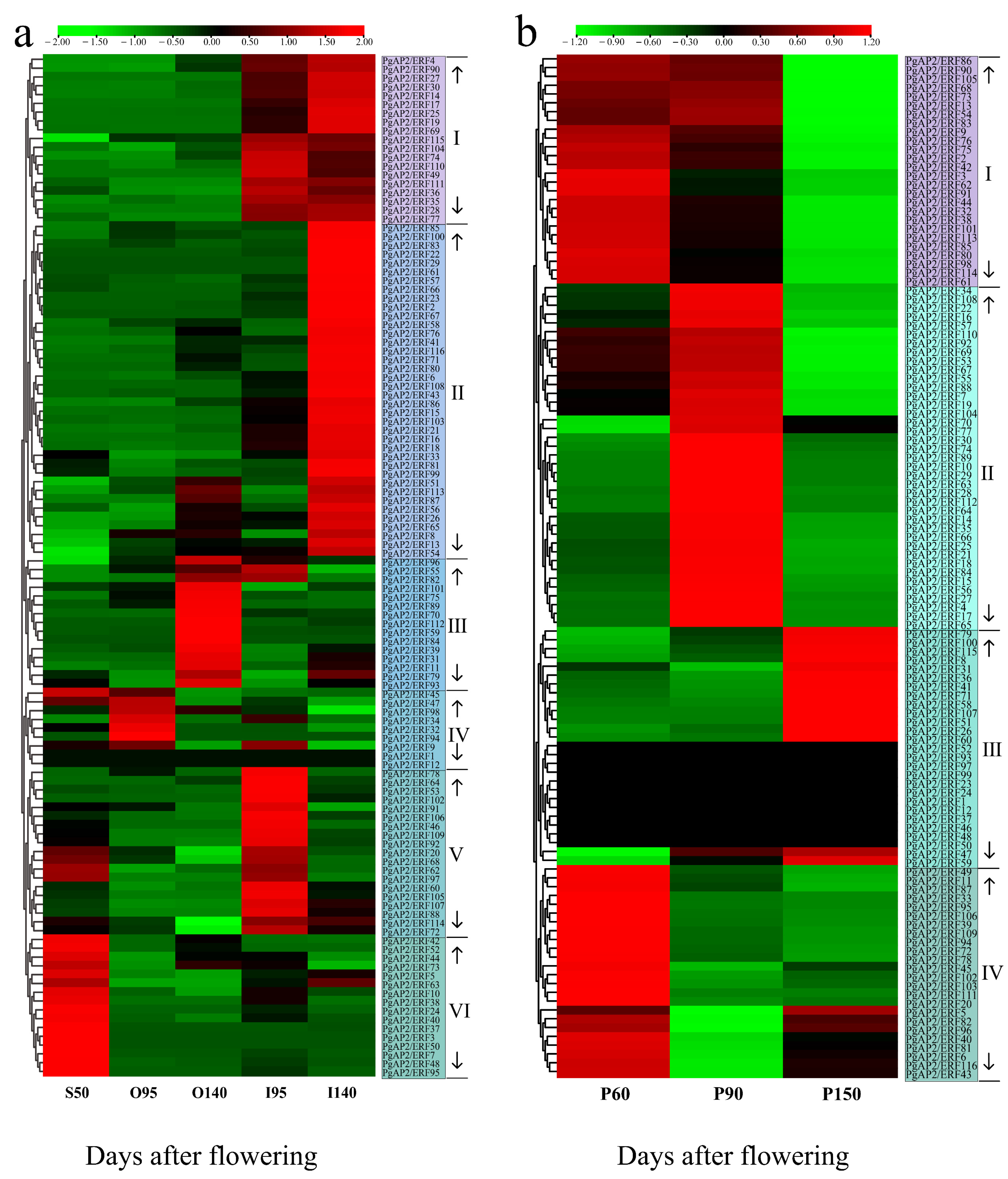 Genes 13 00895 g009 550