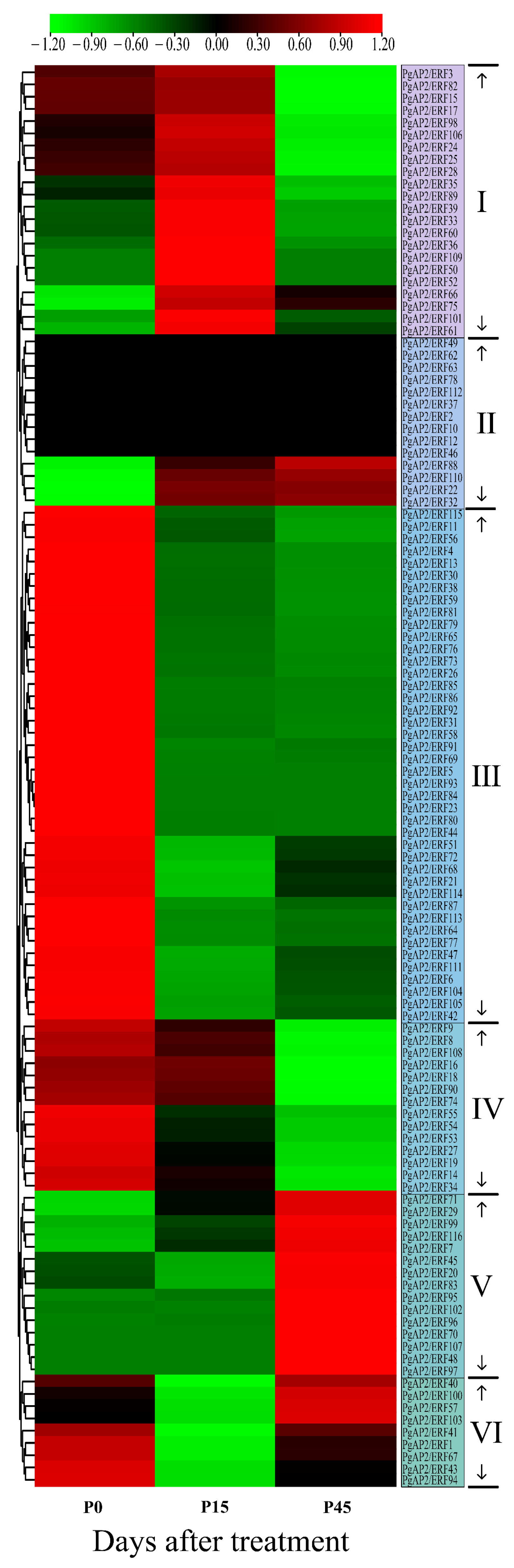 Genes 13 00895 g010 550