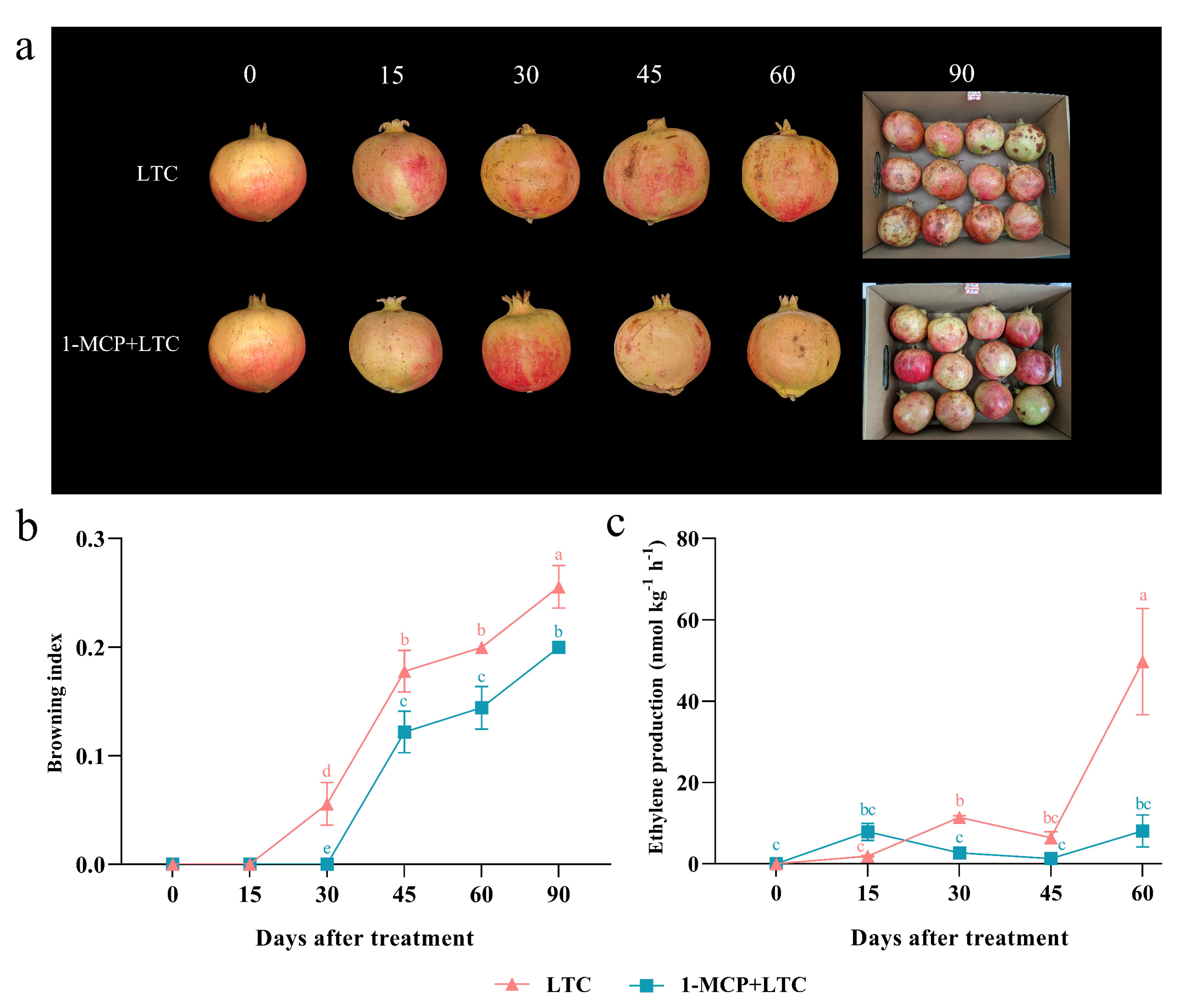 Genes 13 00895 g011 550
