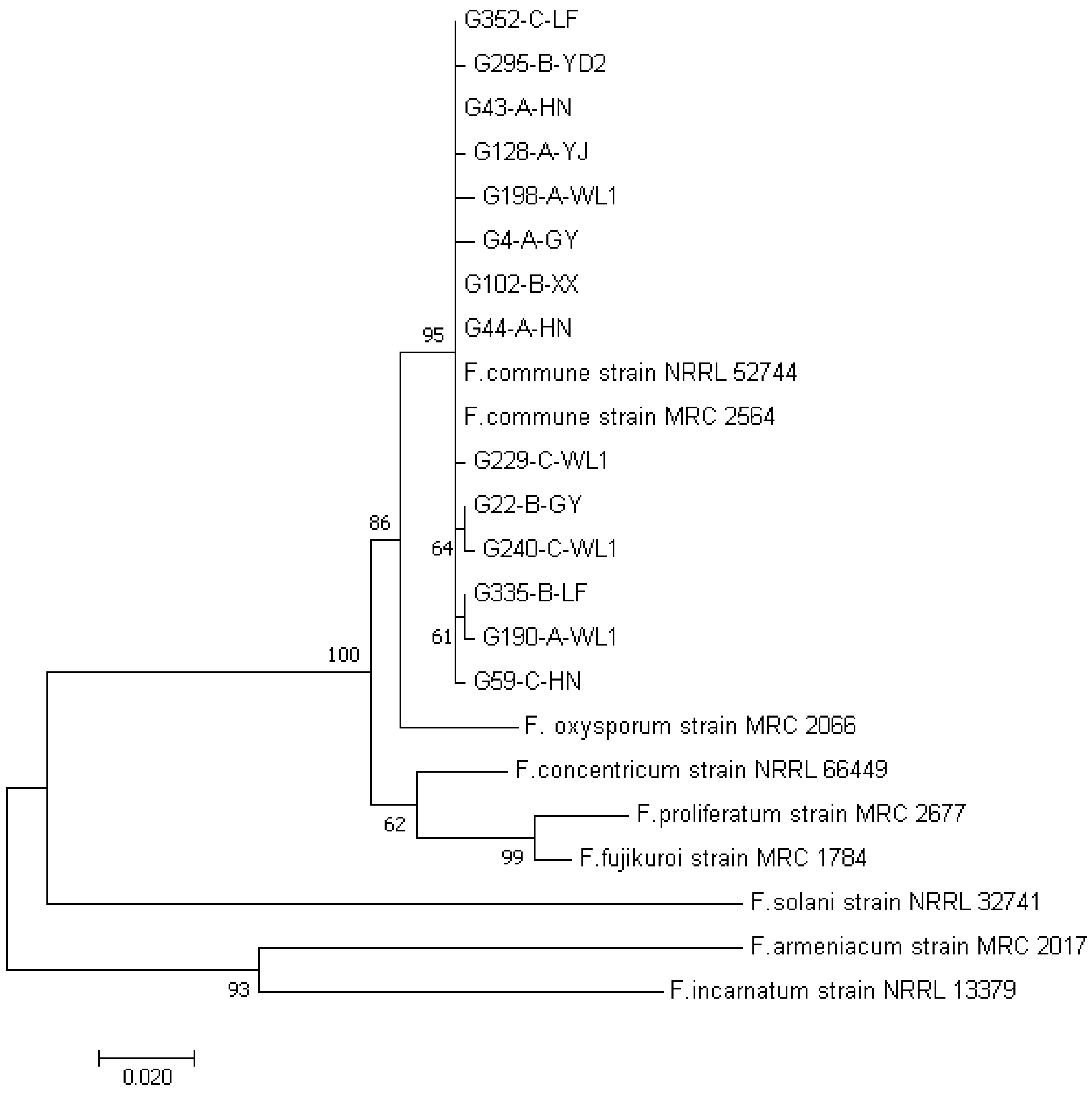 Genes 13 00899 g002