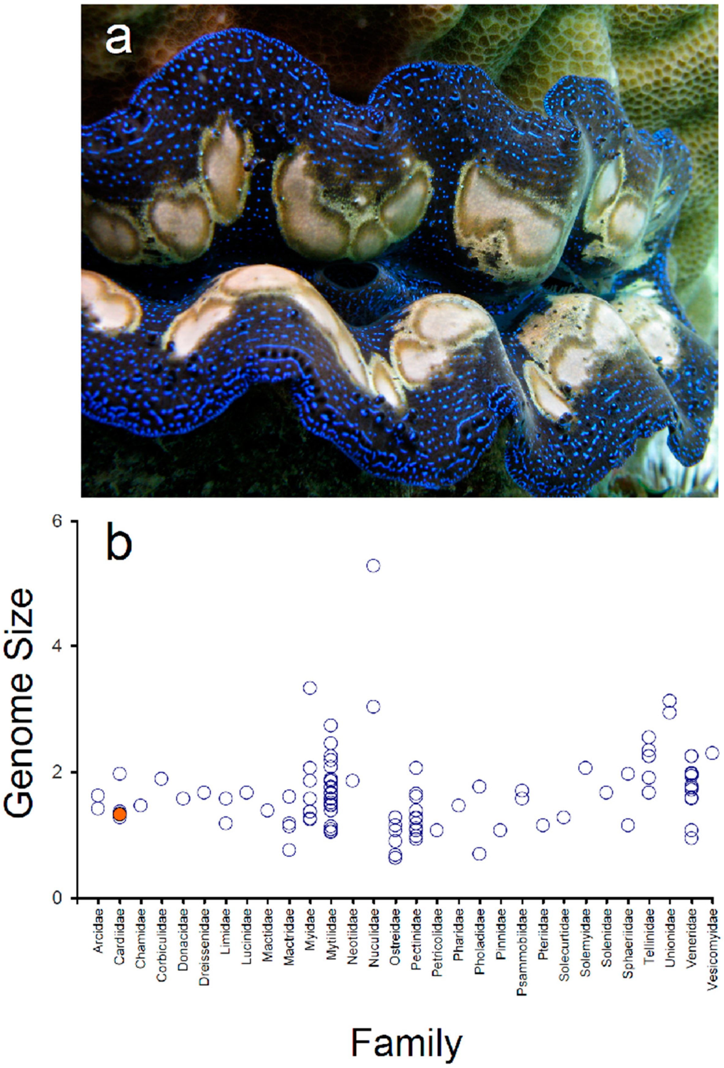 Genes 13 00903 g001 550
