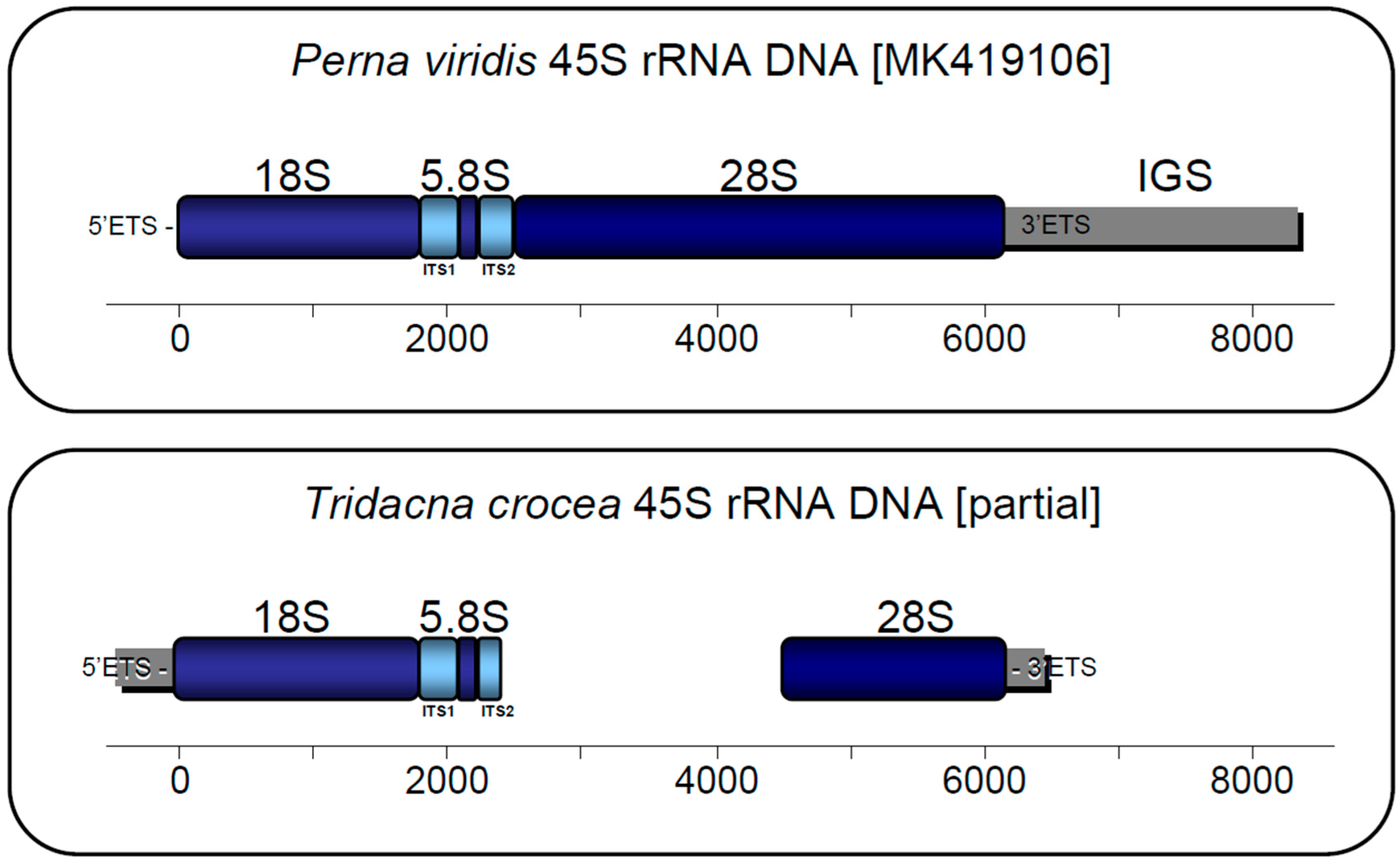 Genes 13 00903 g003 550