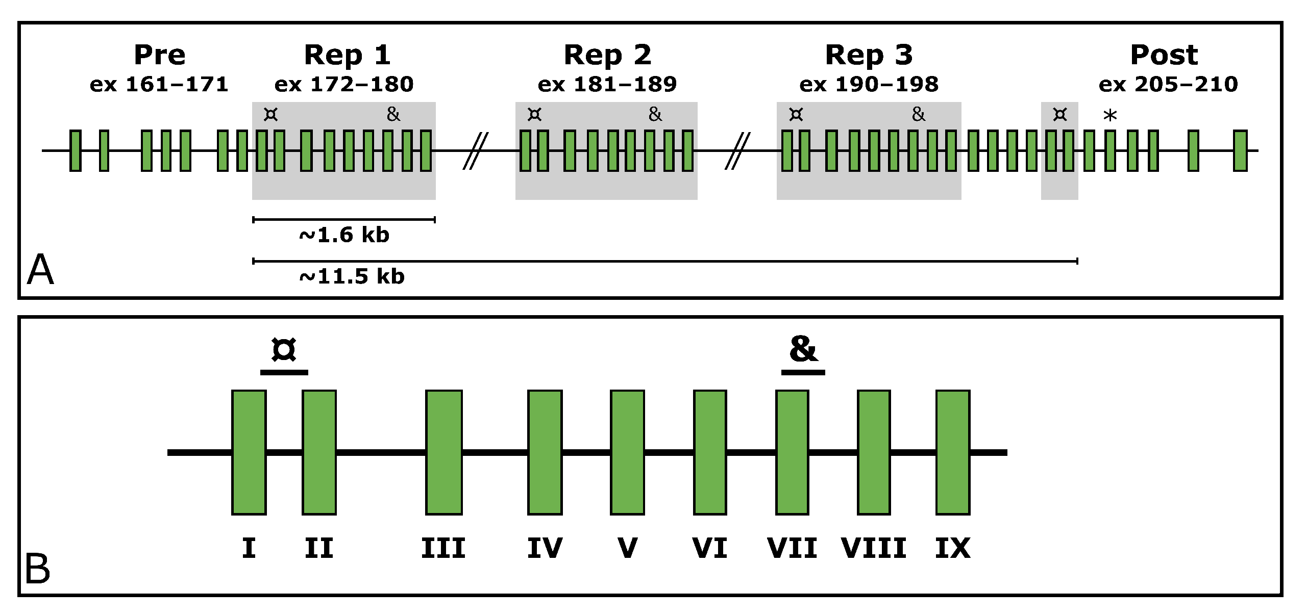 Genes 13 00905 g001 550