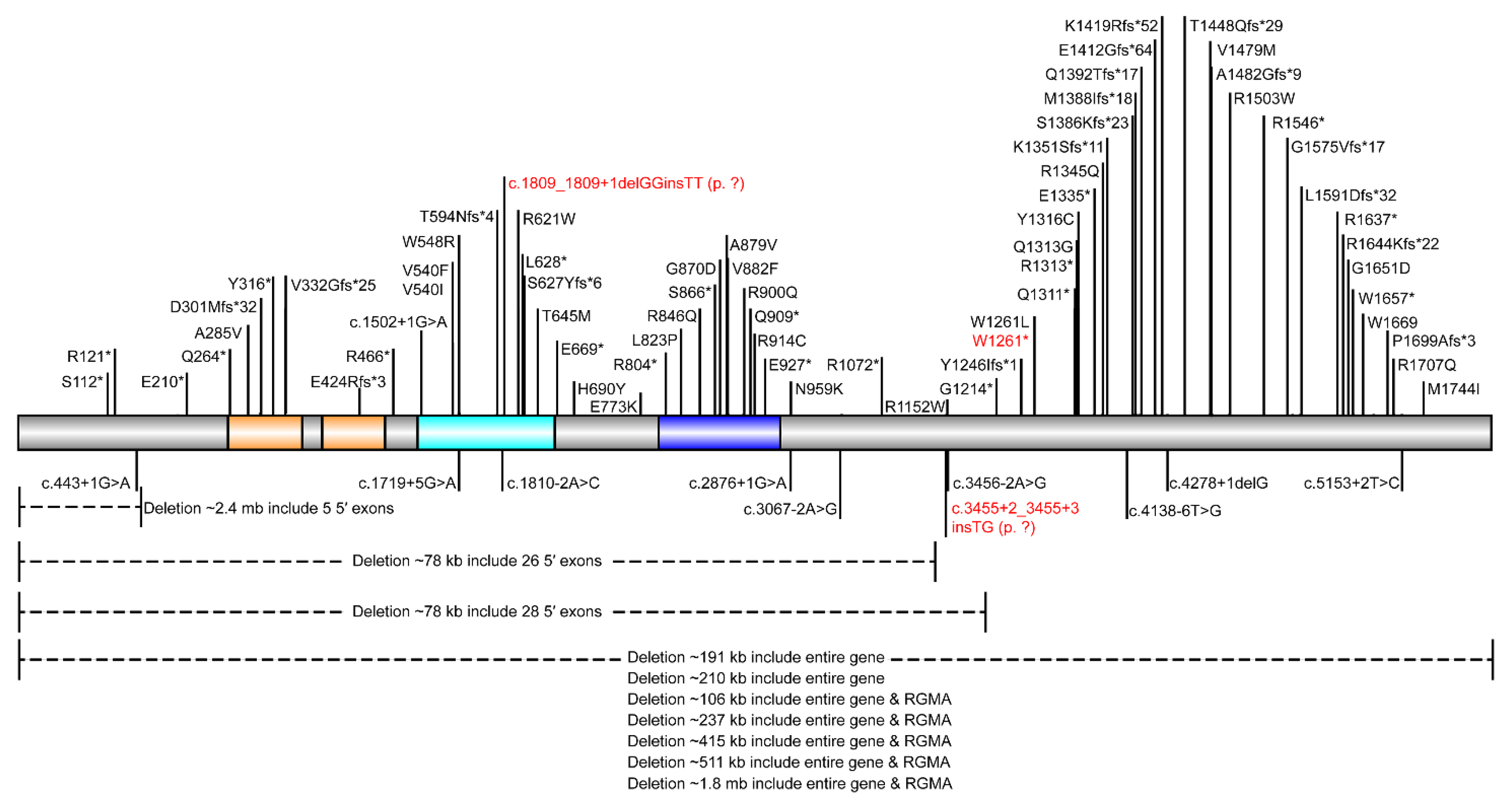 Genes 13 00908 g003 550