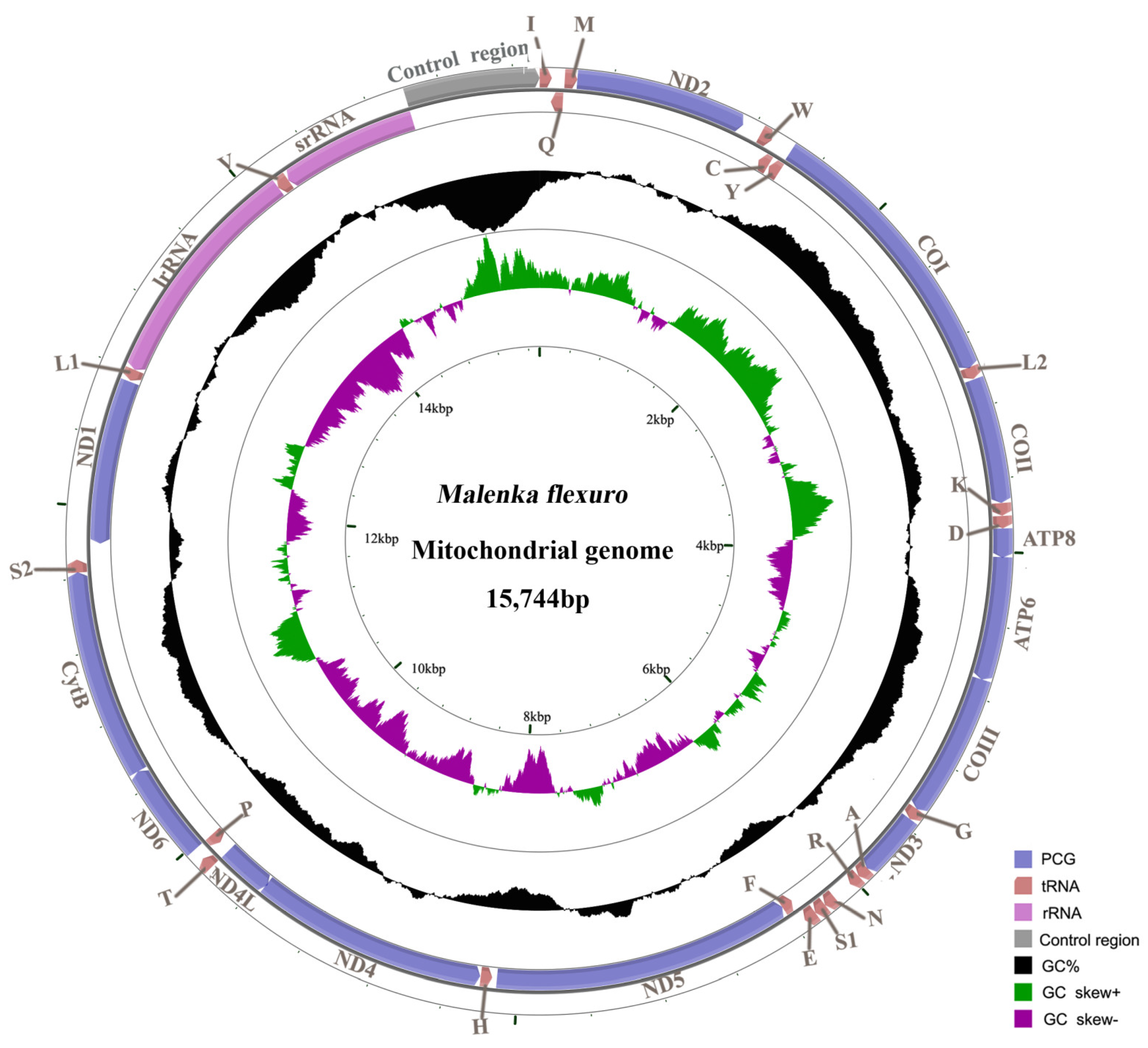 Genes 13 00911 g001 550