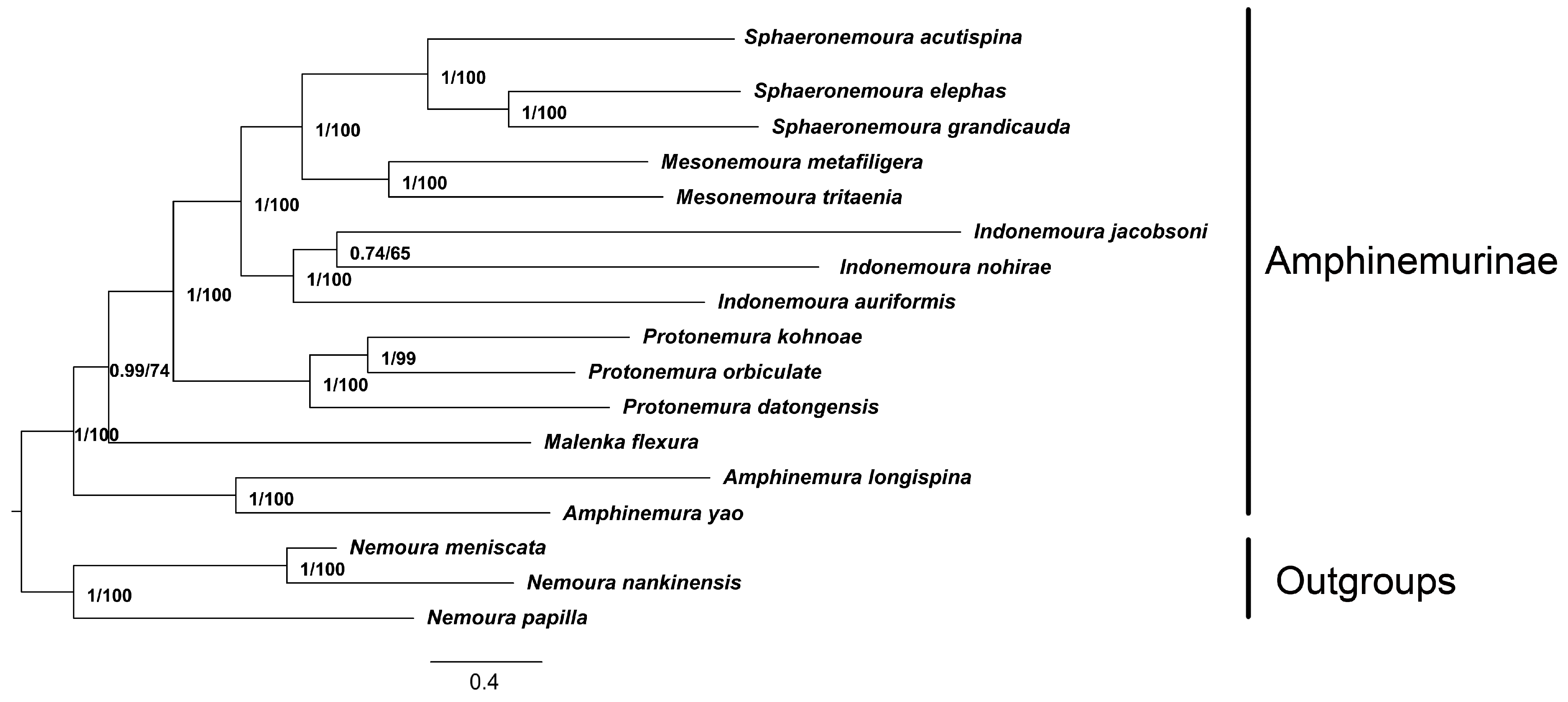 Genes 13 00911 g004 550