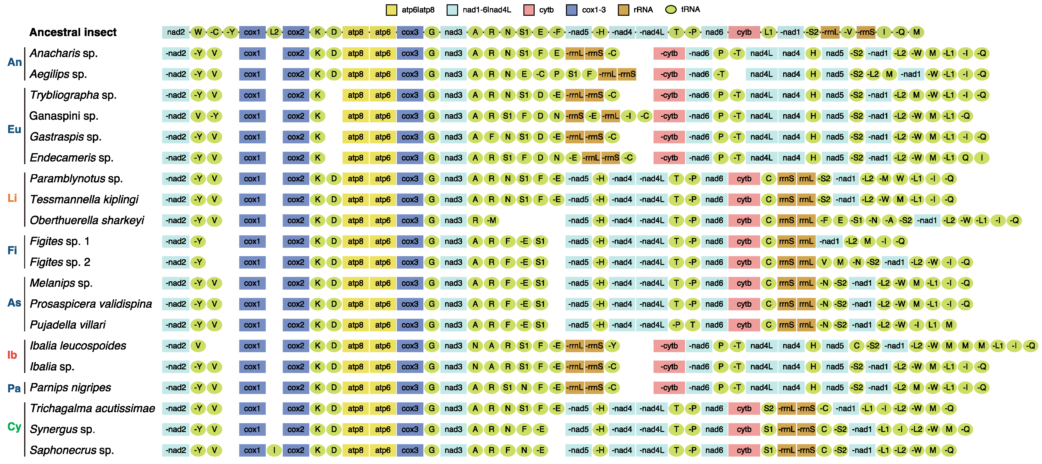 Genes 13 00914 g001 550