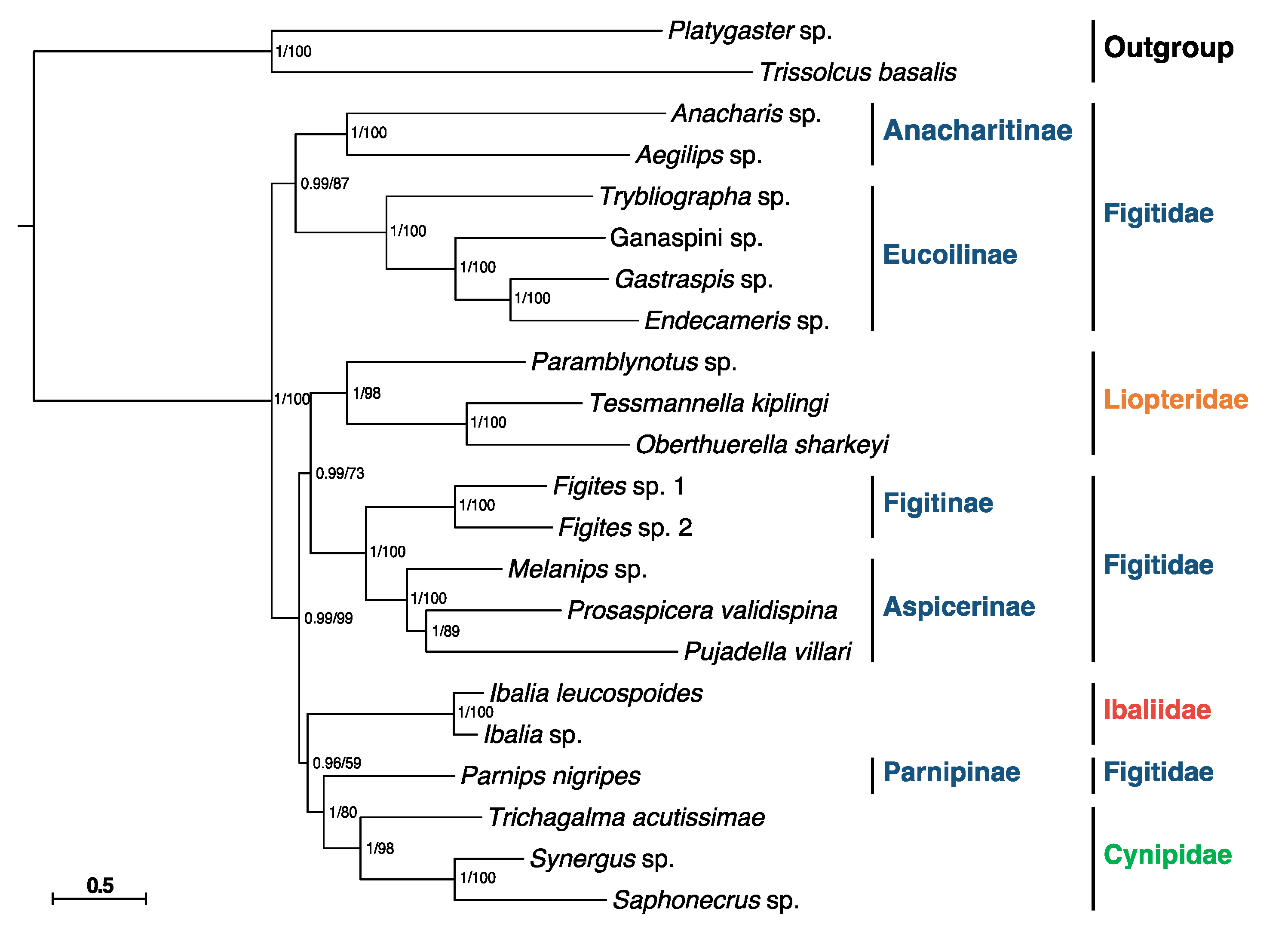 Genes 13 00914 g004 550