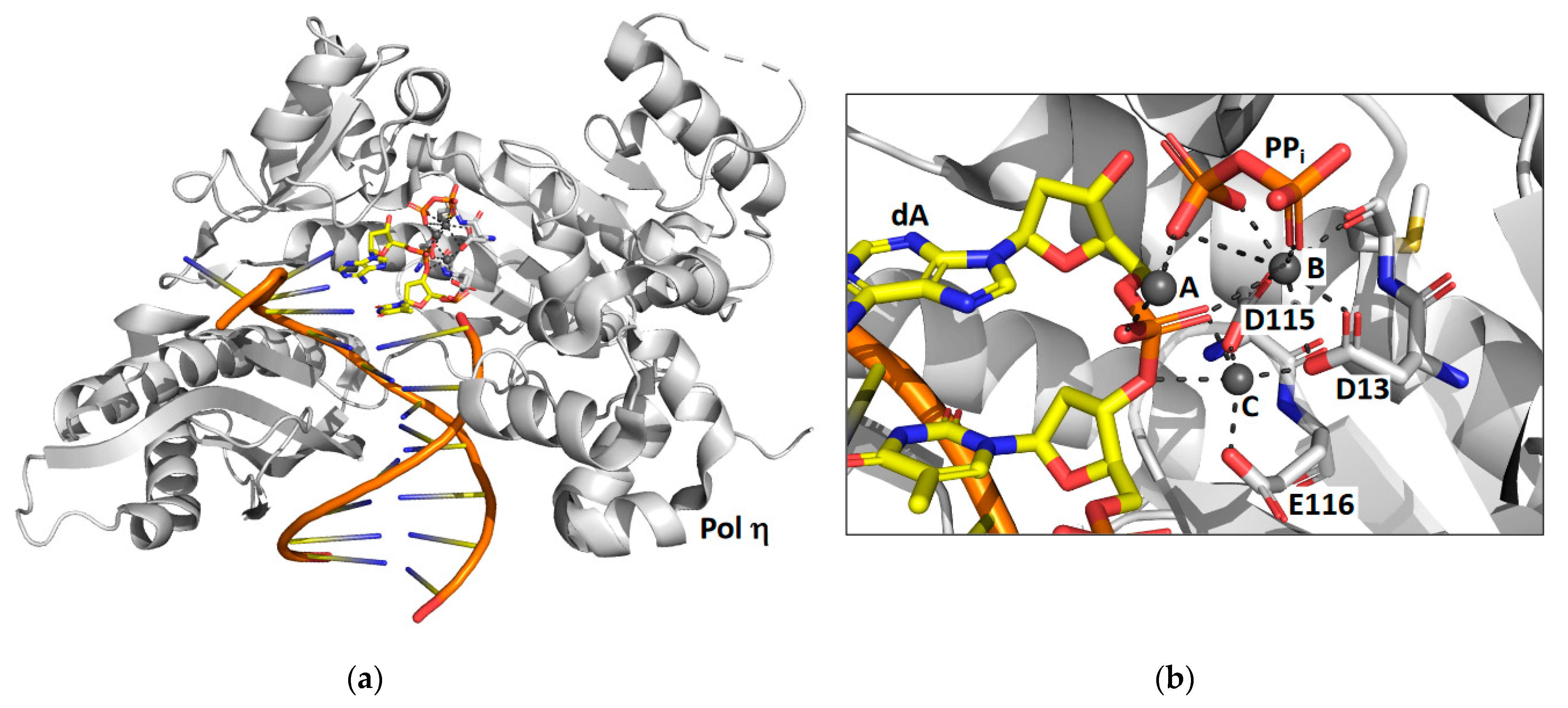 Genes 13 00915 g001 Genes 13 00915 g001