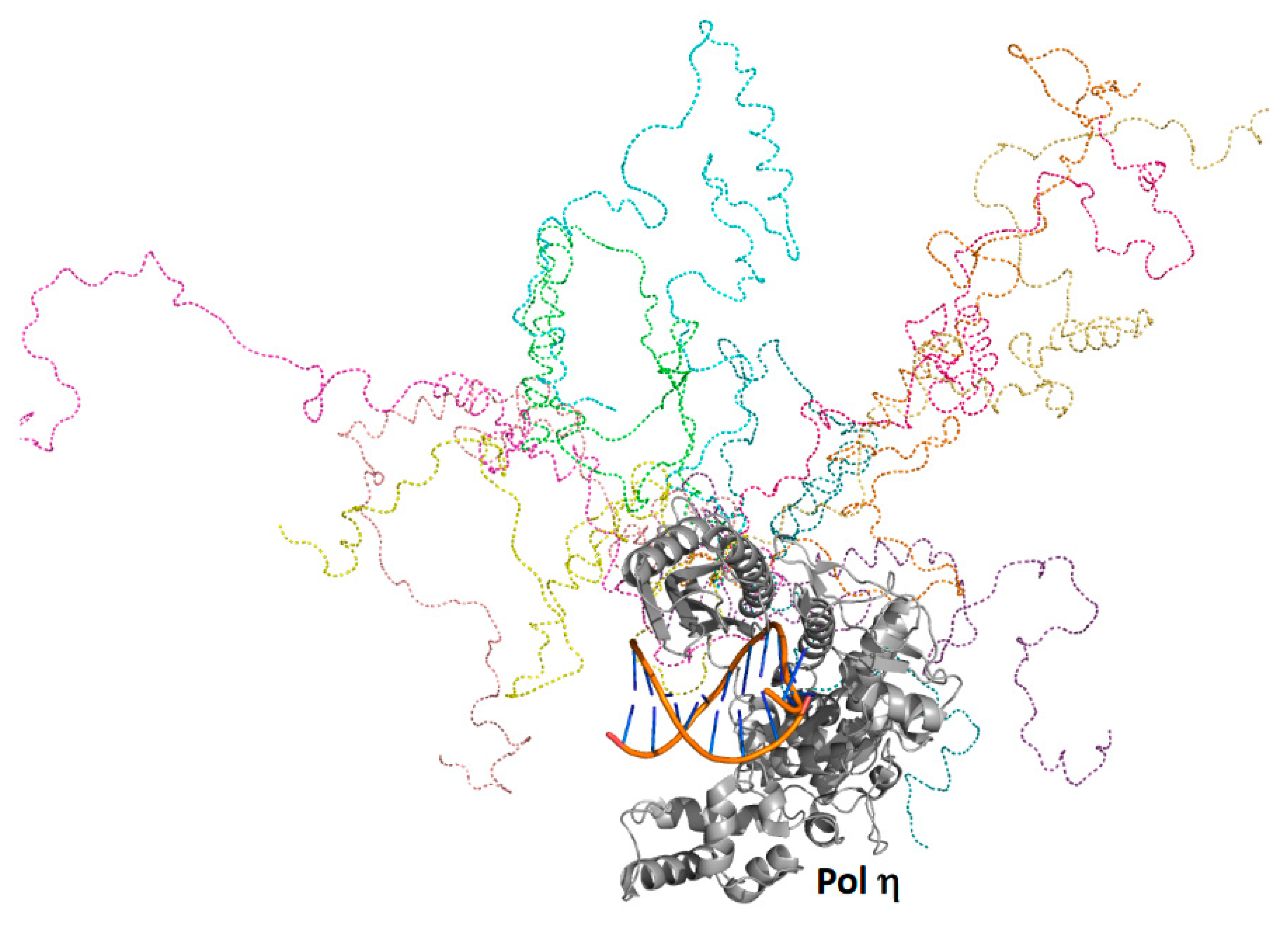 Genes 13 00915 g003 Genes 13 00915 g003
