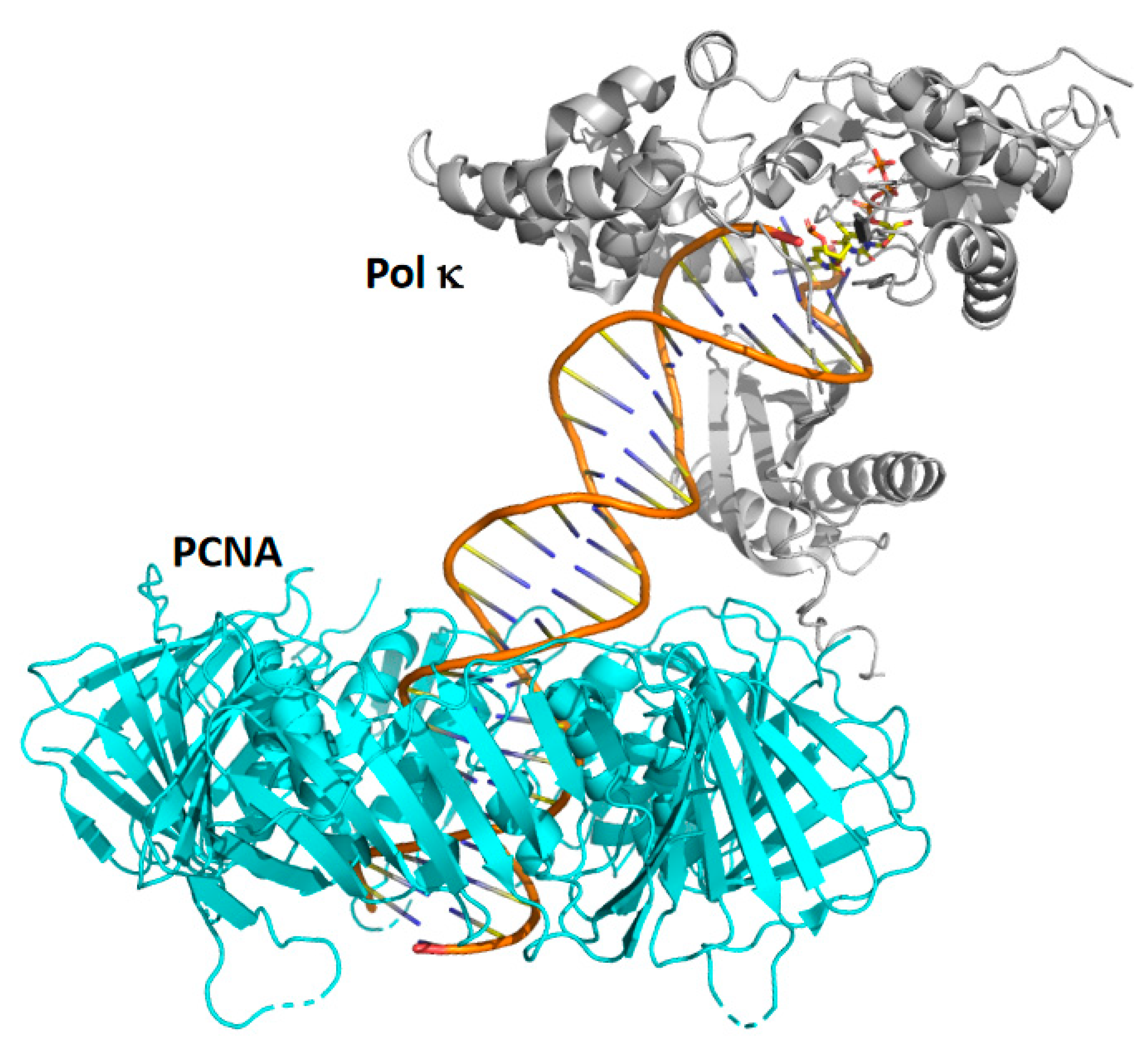 Genes 13 00915 g005 Genes 13 00915 g005