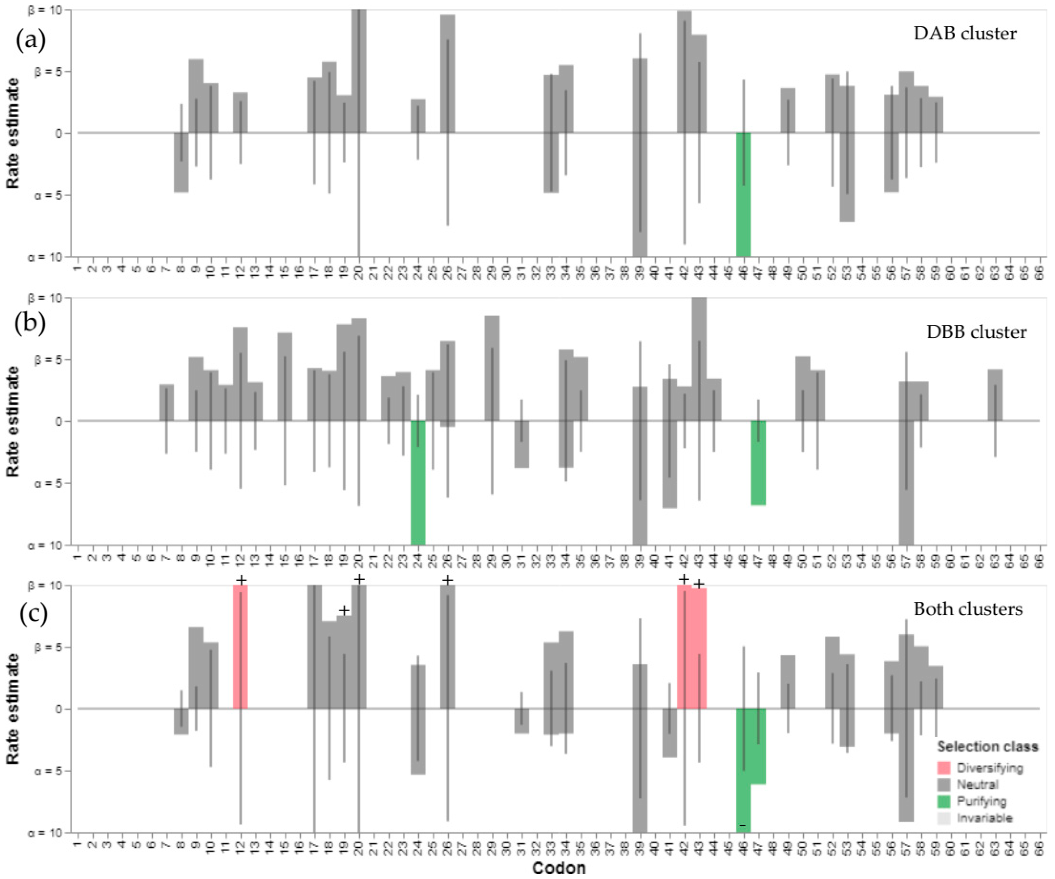 Genes 13 00917 g004 Genes 13 00917 g004