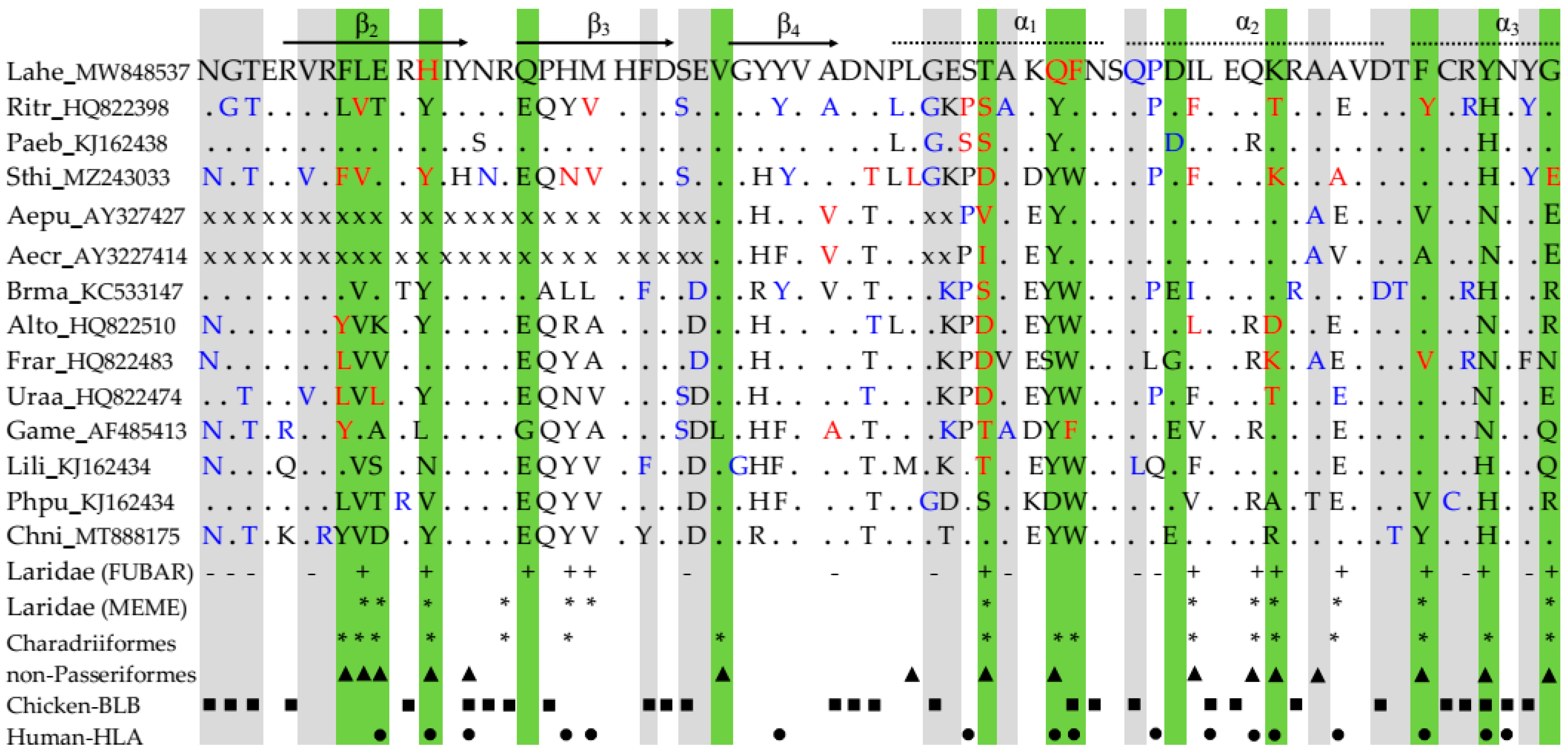 Genes 13 00917 g005 Genes 13 00917 g005