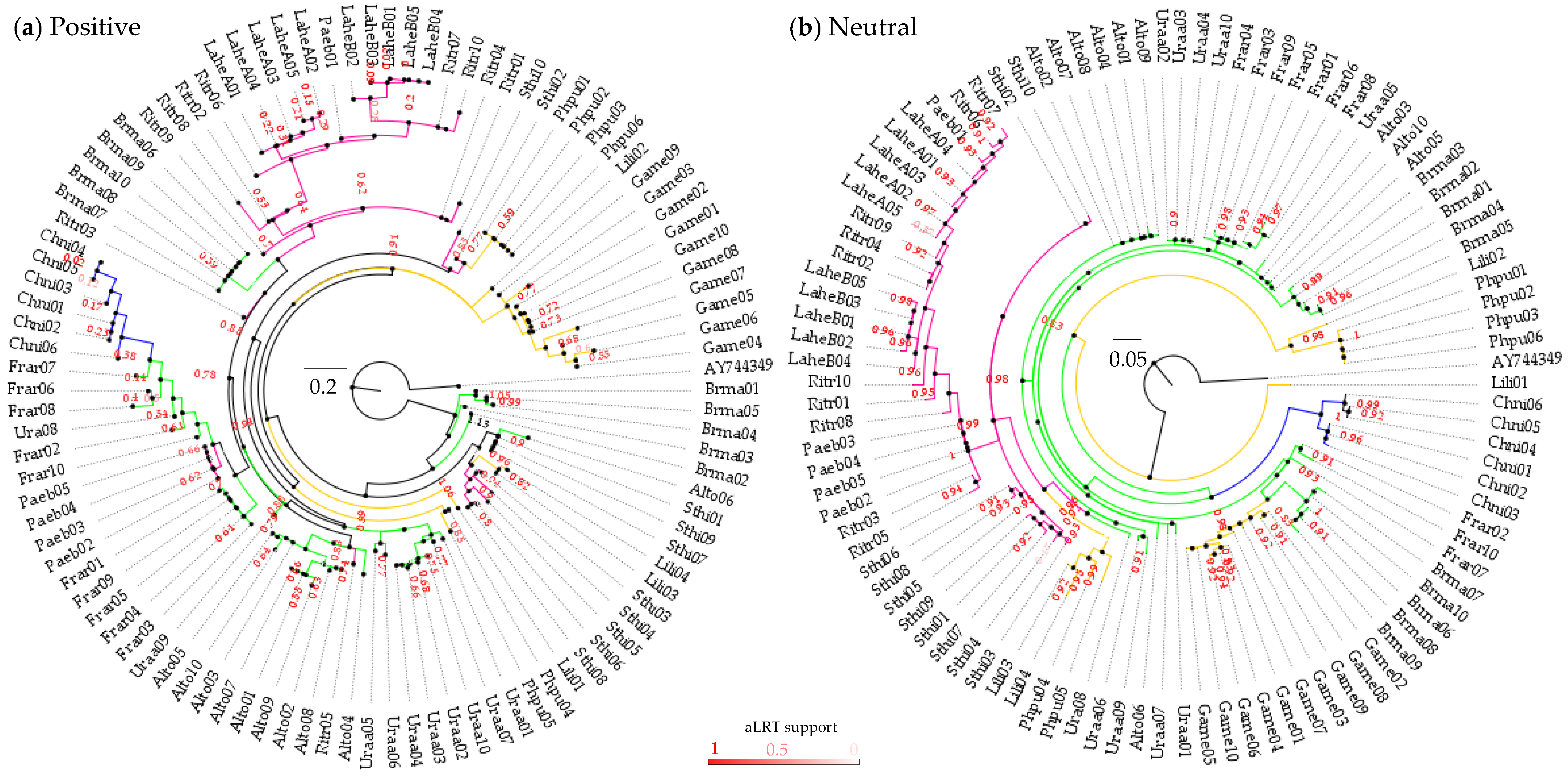Genes 13 00917 g007 Genes 13 00917 g007