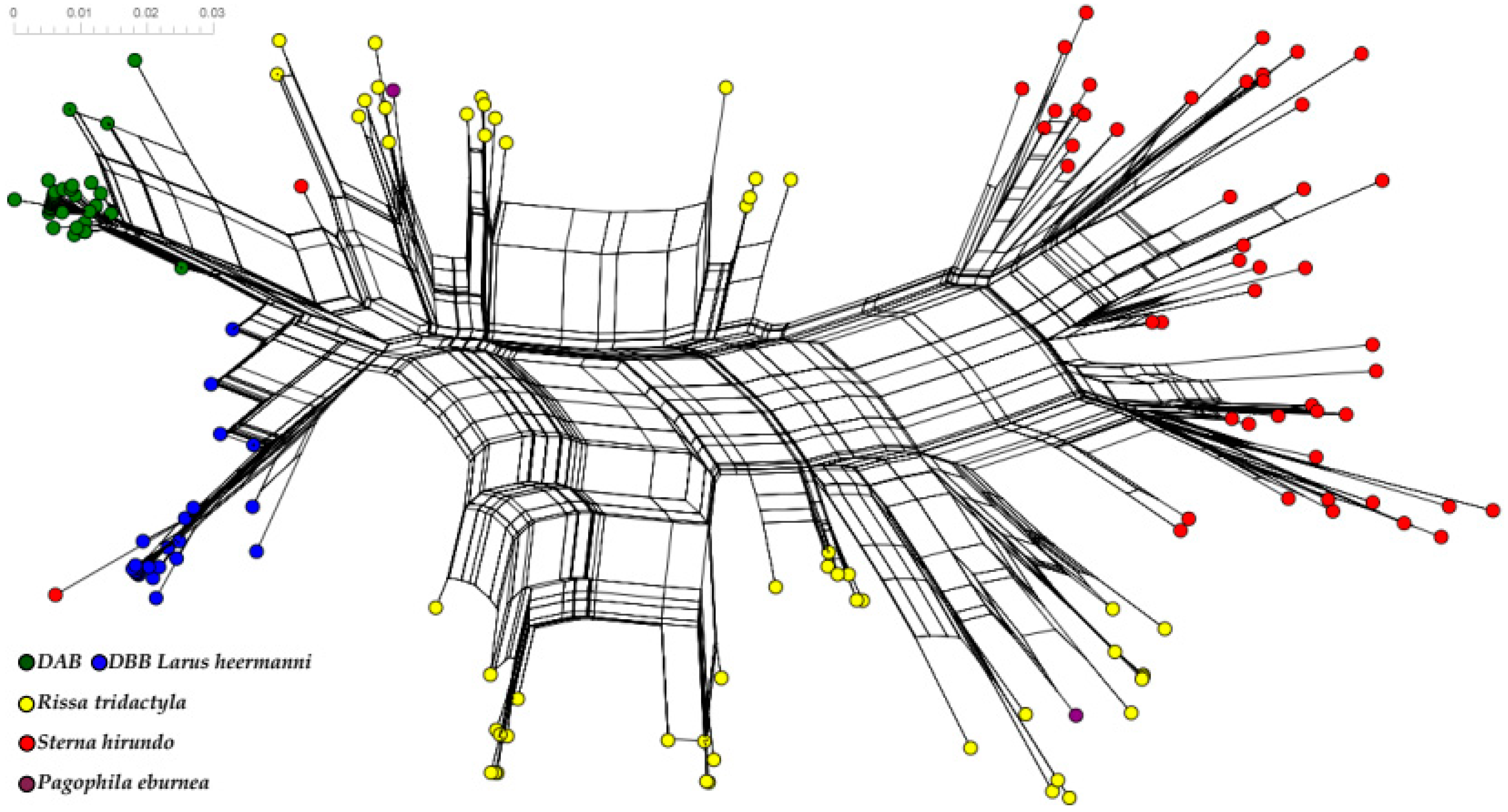 Genes 13 00917 g009 Genes 13 00917 g009