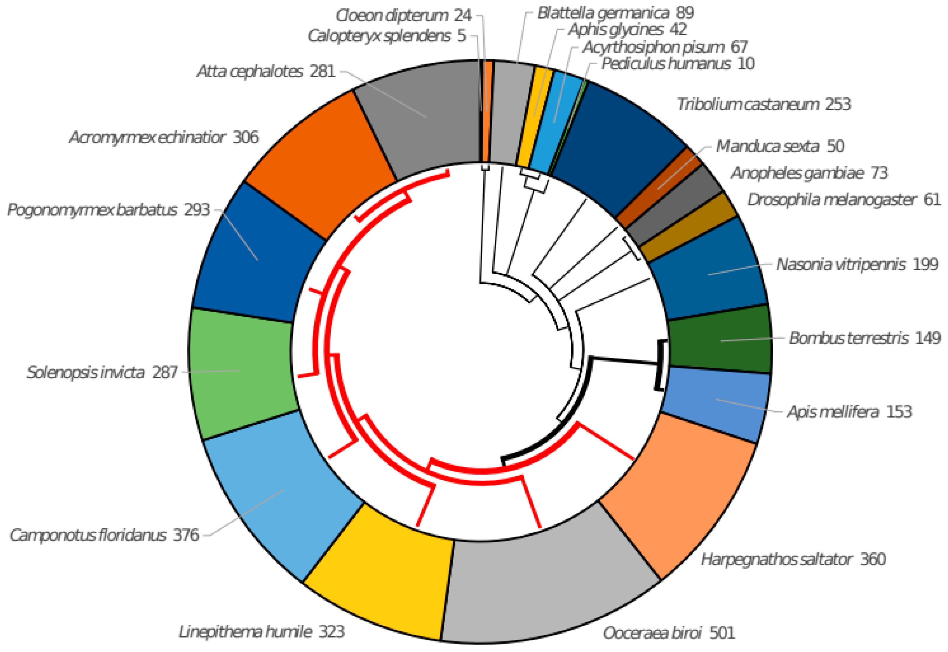Genes 13 00919 g001 Genes 13 00919 g001