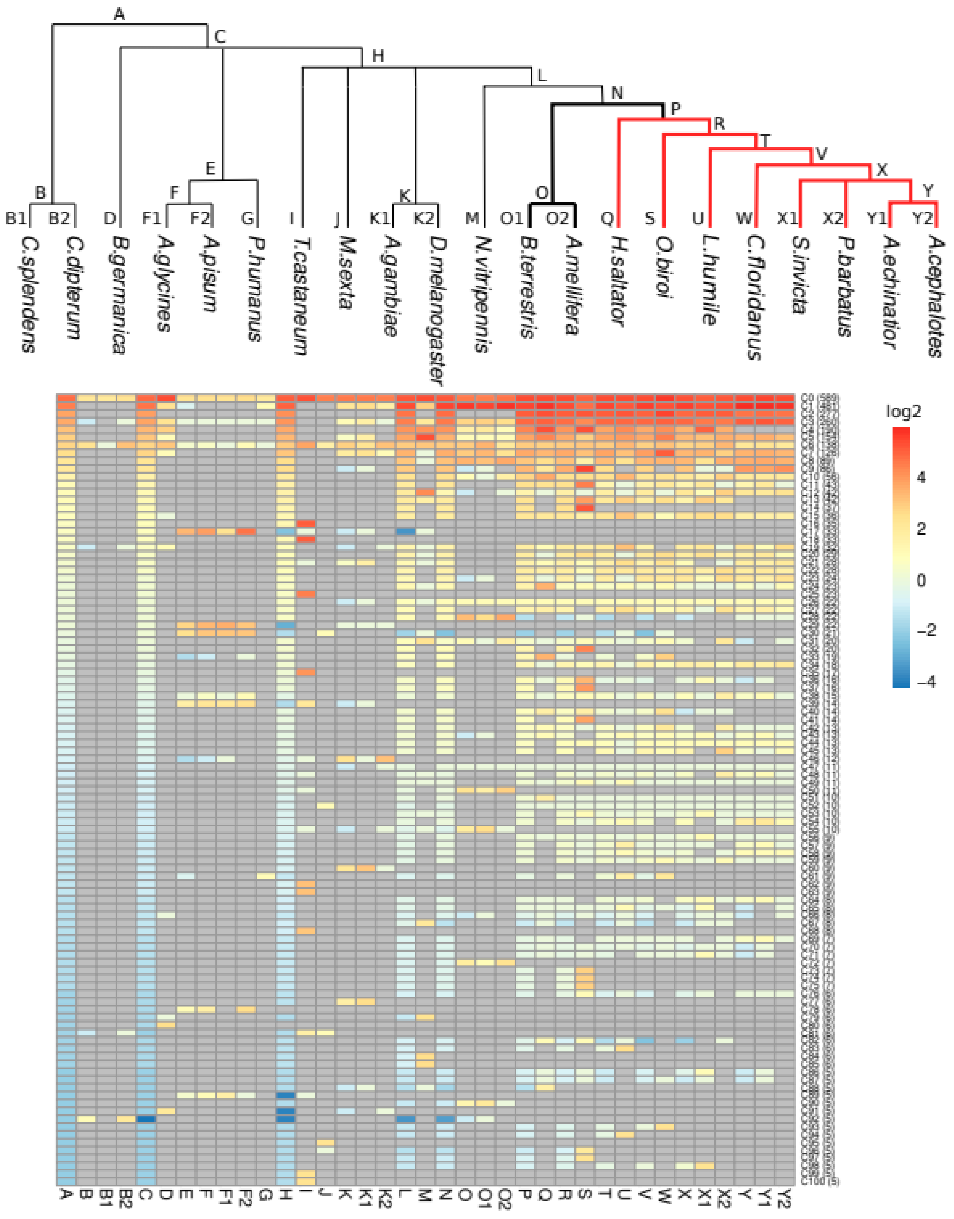 Genes 13 00919 g003 Genes 13 00919 g003