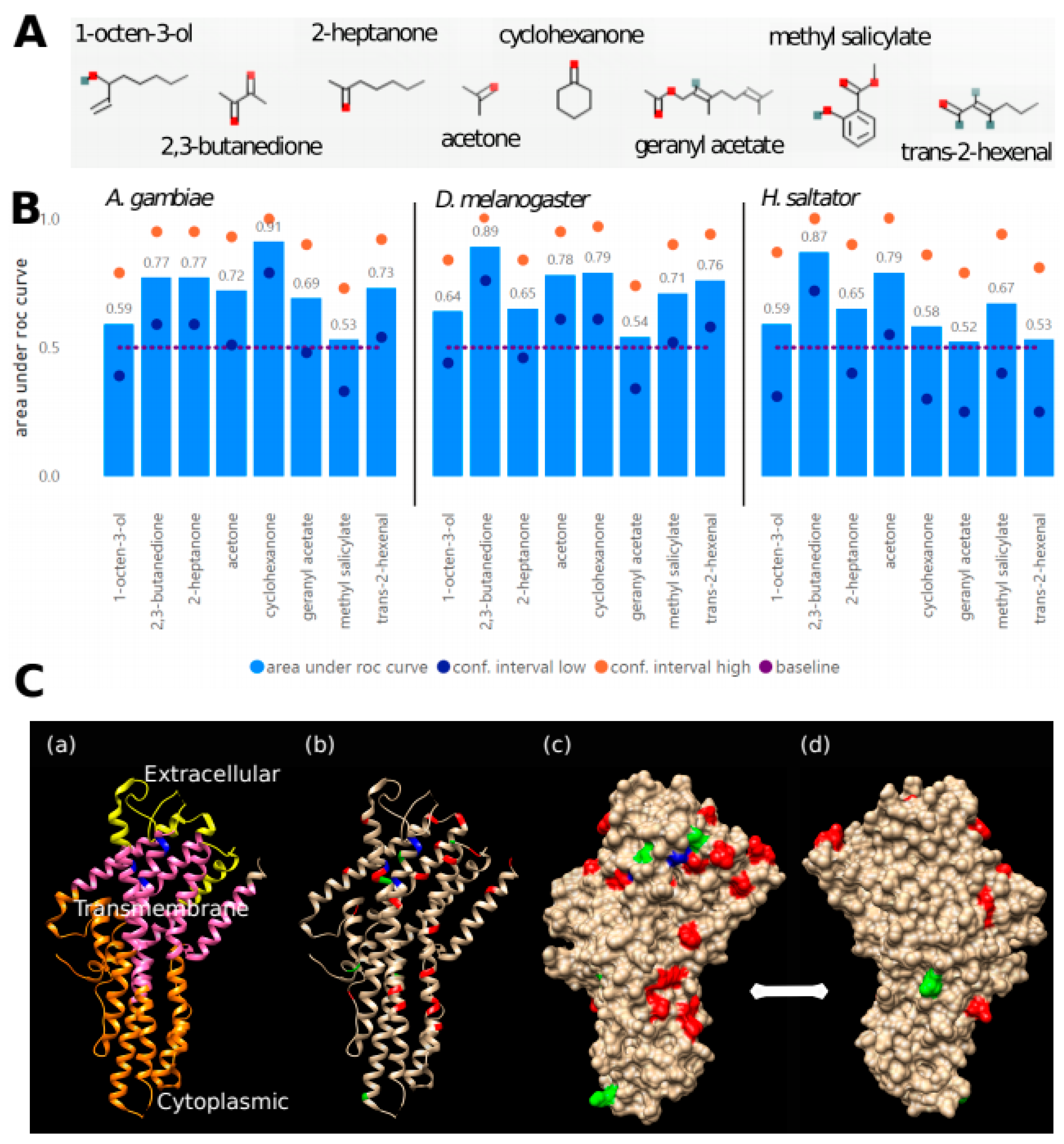 Genes 13 00919 g004 Genes 13 00919 g004