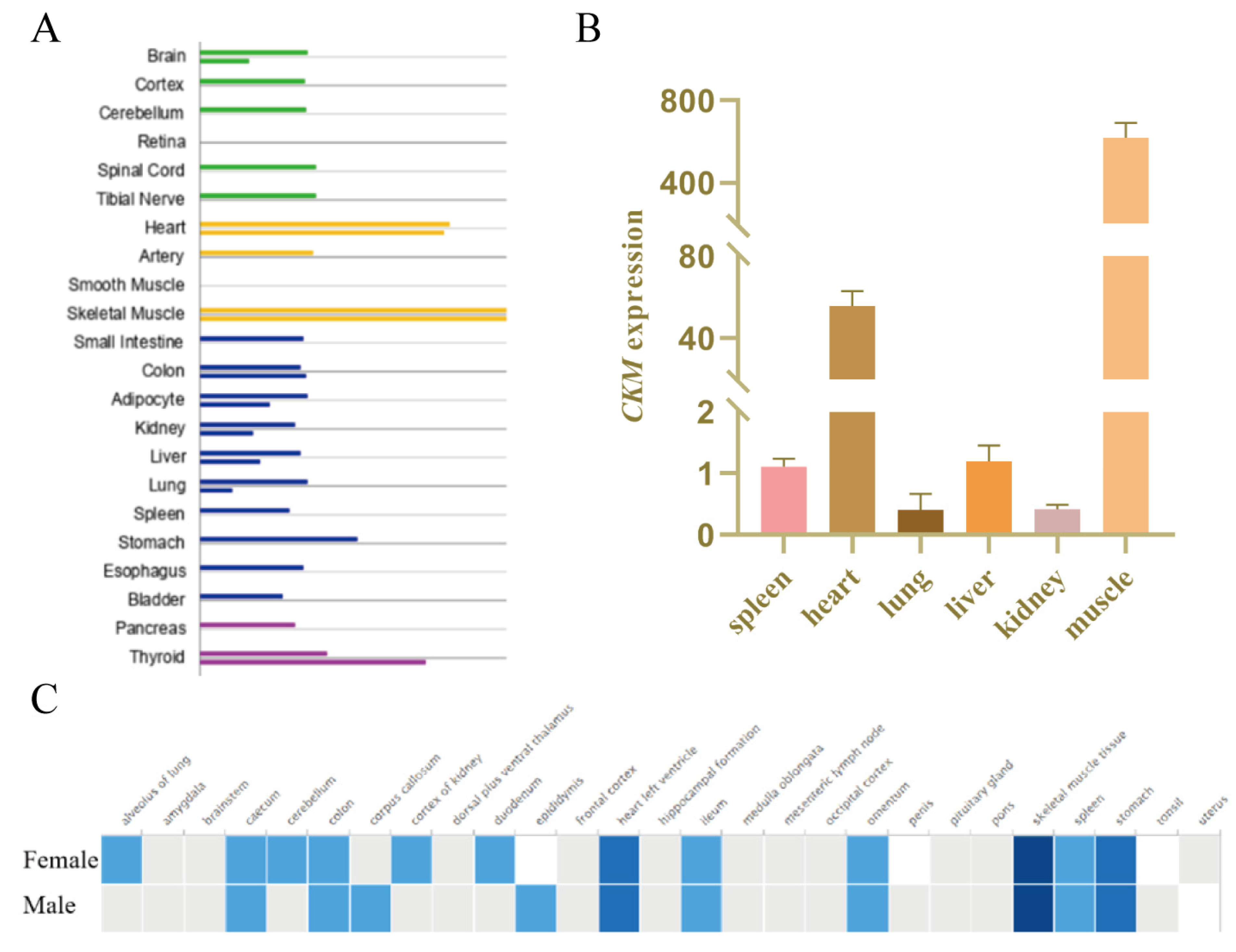 Genes 13 00921 g001 550